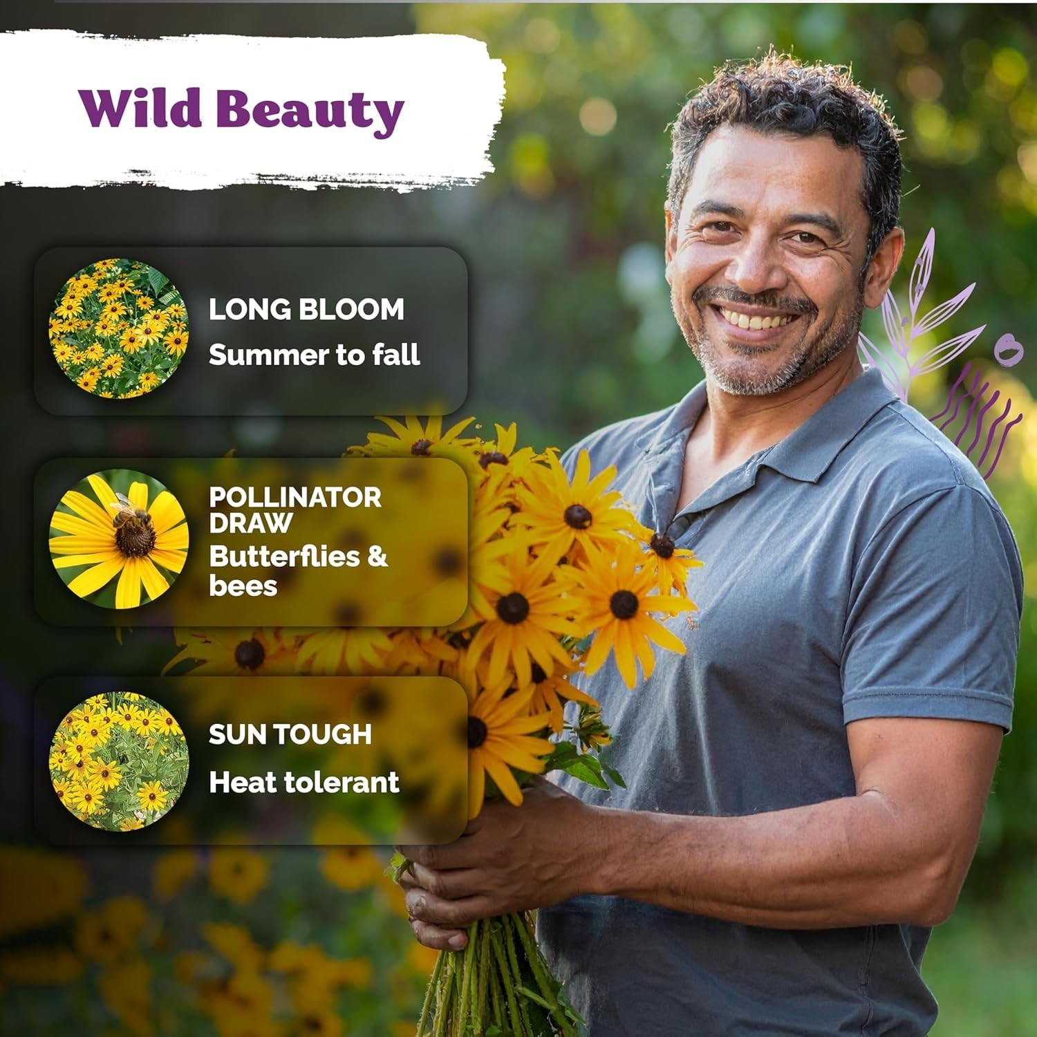 Wildflower Seed Pack Black Eyed Susan for Summer Blooming Gardens