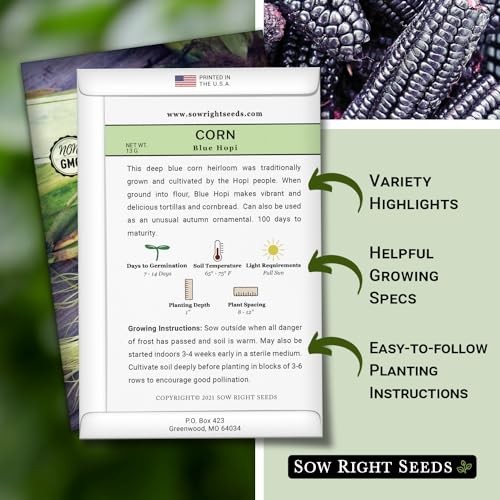 Blue Hopi Corn Seed for Planting – Non-GMO Heirloom Packet with 1
