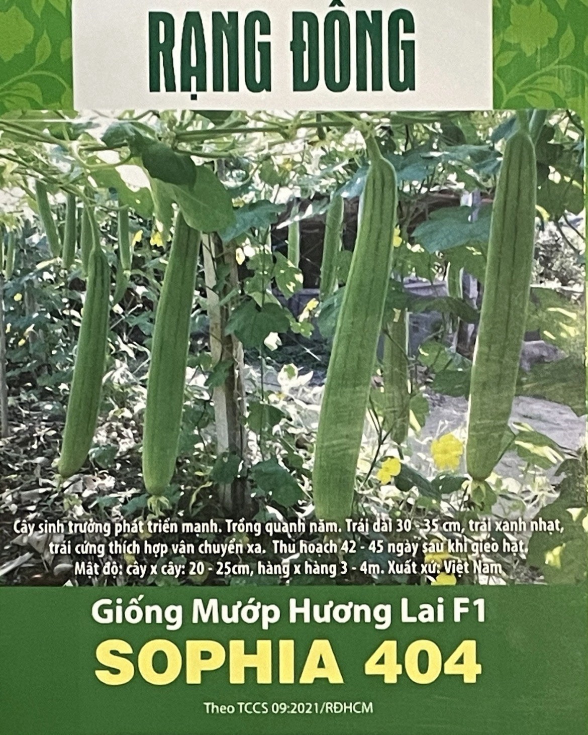 20 Vietnamese Hybrid Smooth Luffa Seeds, Hạt Giống Mướp Hương Lai F1, Sophia 404