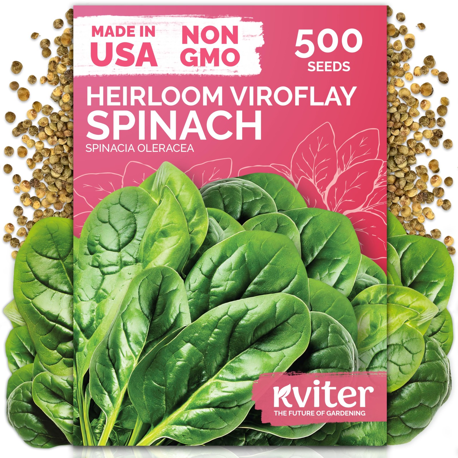 KVITER 500 Viroflay Spinach Seeds (Spinacia Oleracea)
