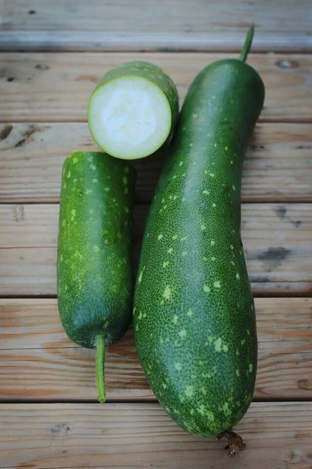15+ Organic Hairy skin gourd seeds Fuzzy melon Winter melon 
