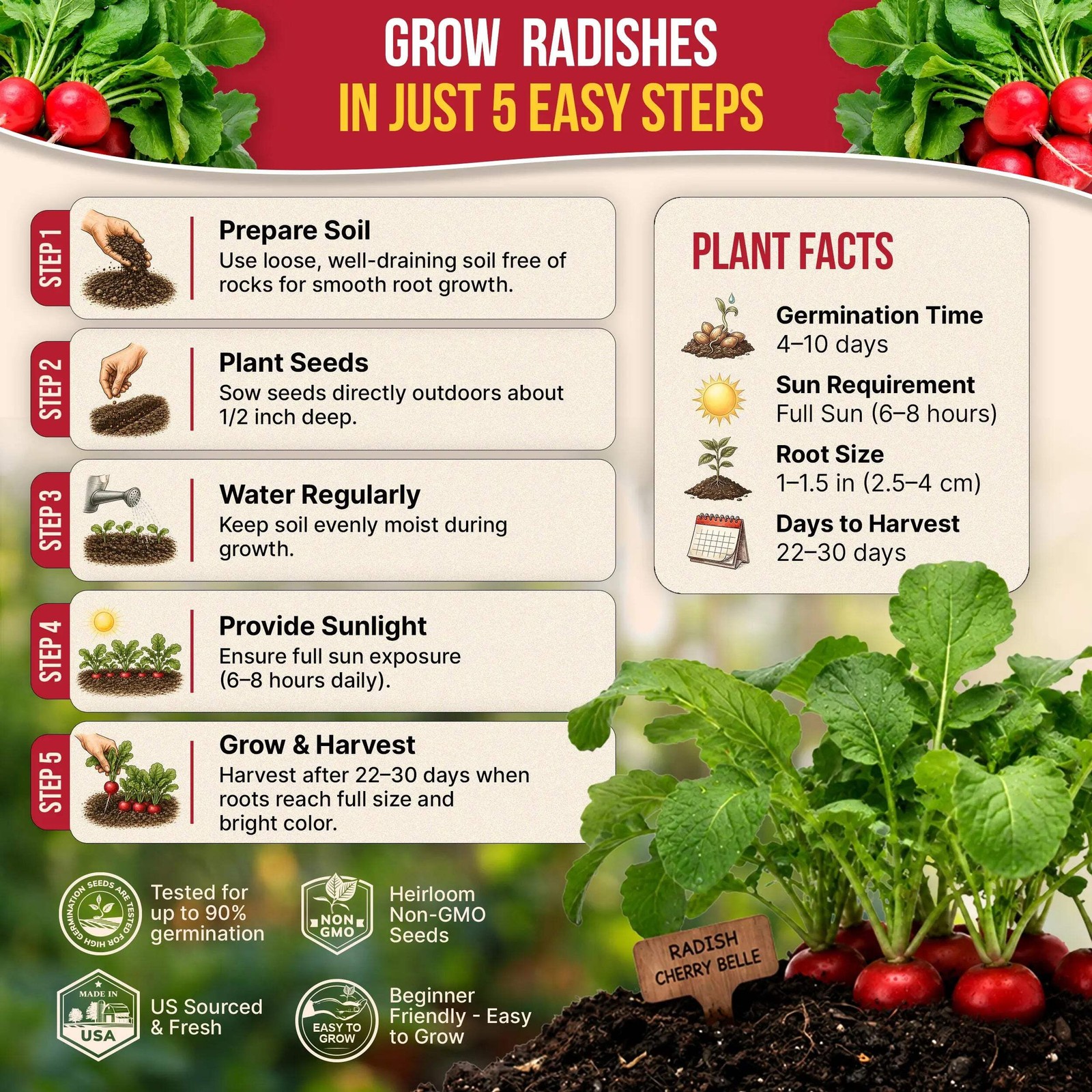 Cherry Belle Radish Seeds