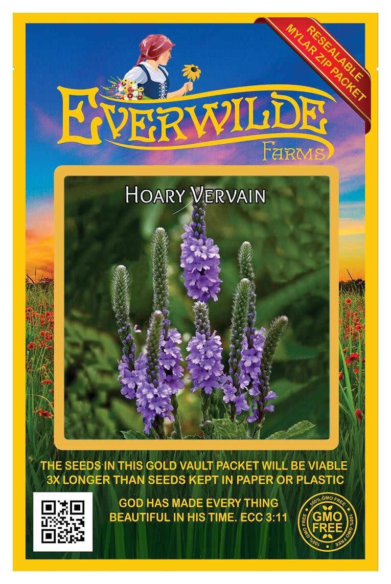 1 Oz Hoary Vervain Wildflower Seeds – Everwilde Farms Mylar Seed Packet