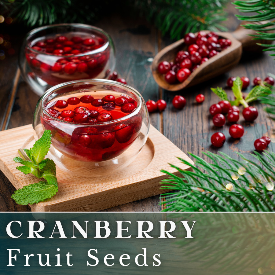 100 Cranberry Seeds (Vaccinium) USA Seller Fruit Seeds Berry Seeds GMO free