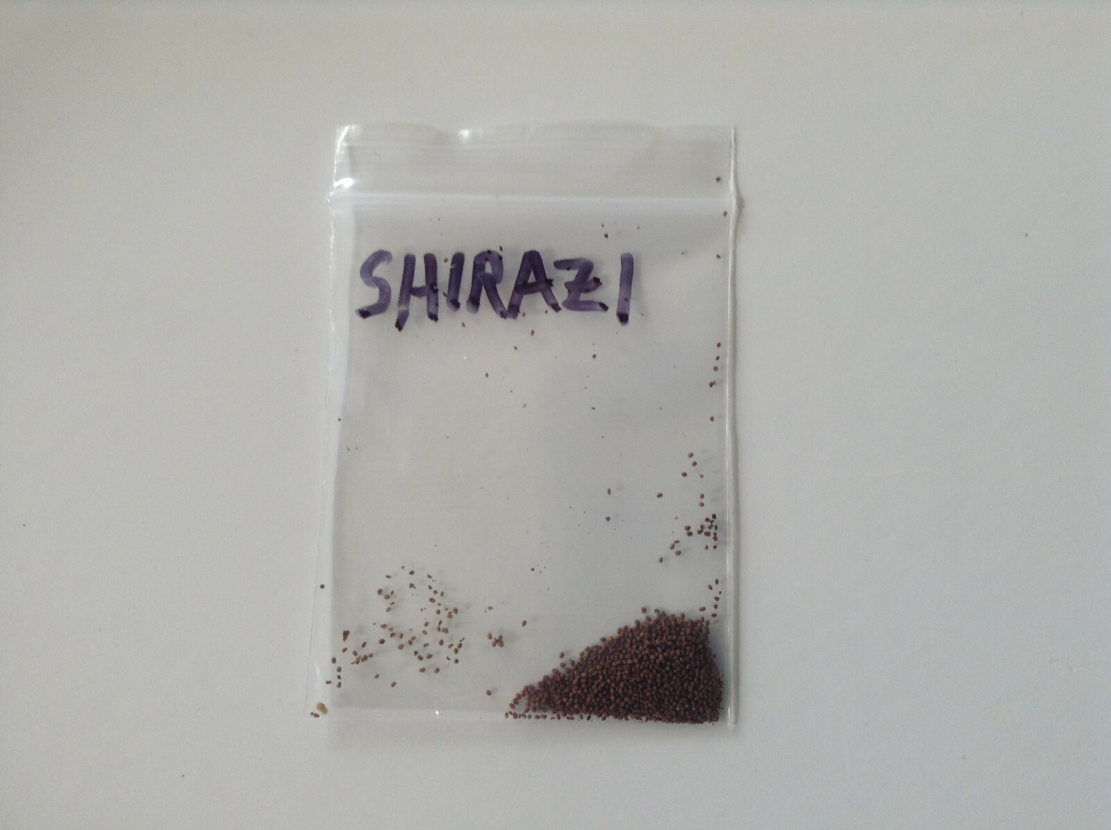 Shirazi Tobacco – Nicotiana seeds (1000+ per packet)