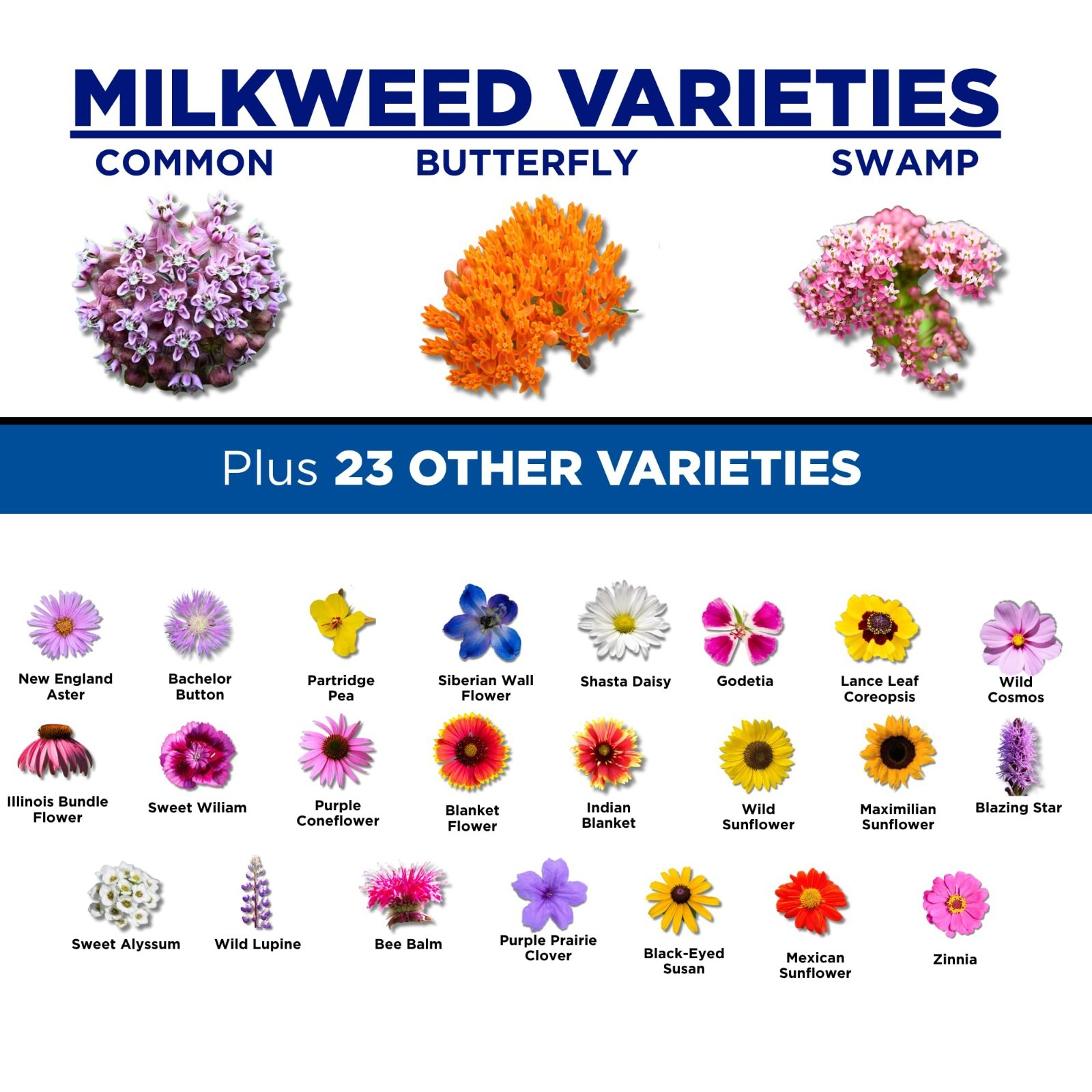 Butterfly Garden Kit – Milkweed & Wildflower Seeds for Pollinators | 1/4 lb Bulk