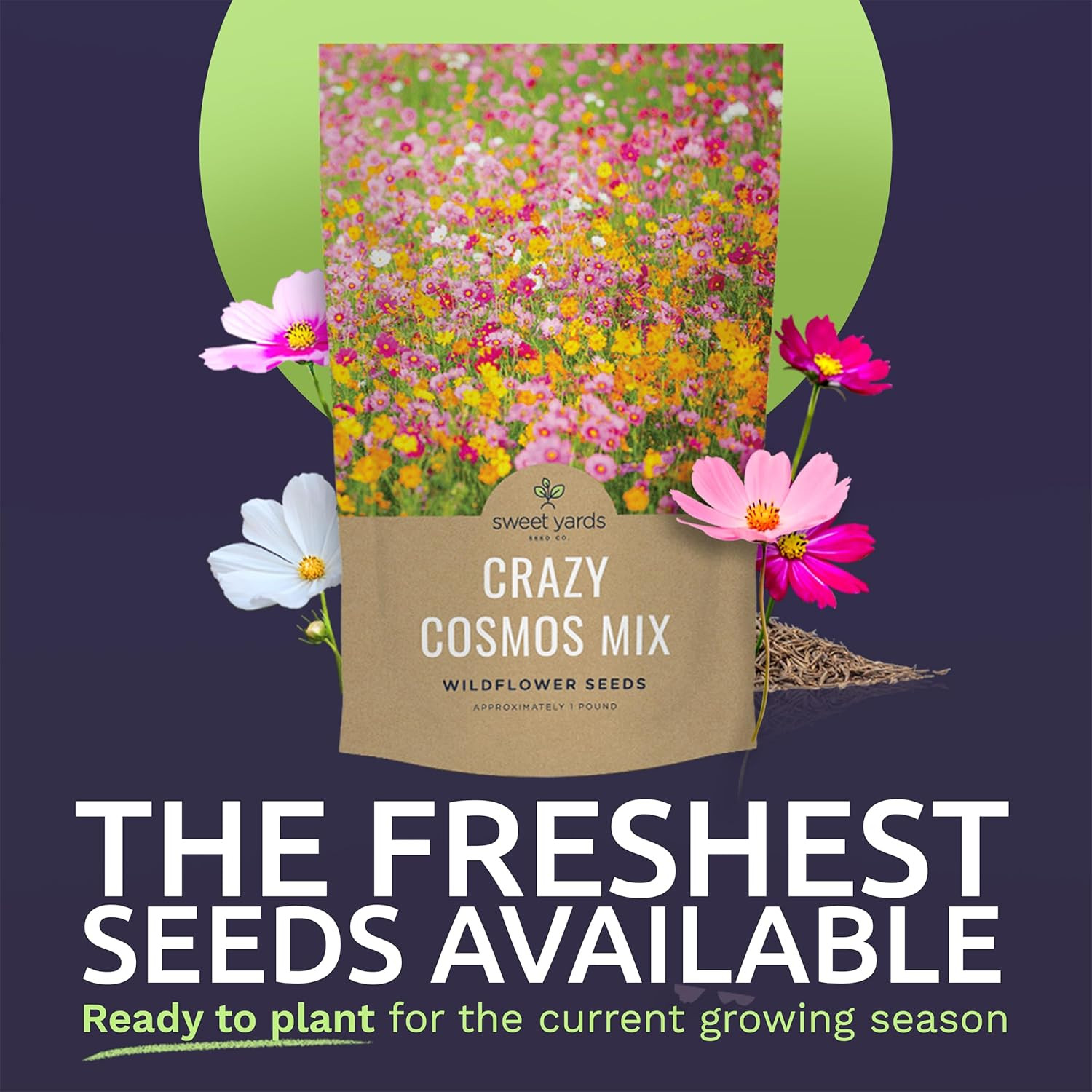 Cosmos Wildflower Seed Mix – 1 lb Bag with 80,000+ Colorful Seeds!
