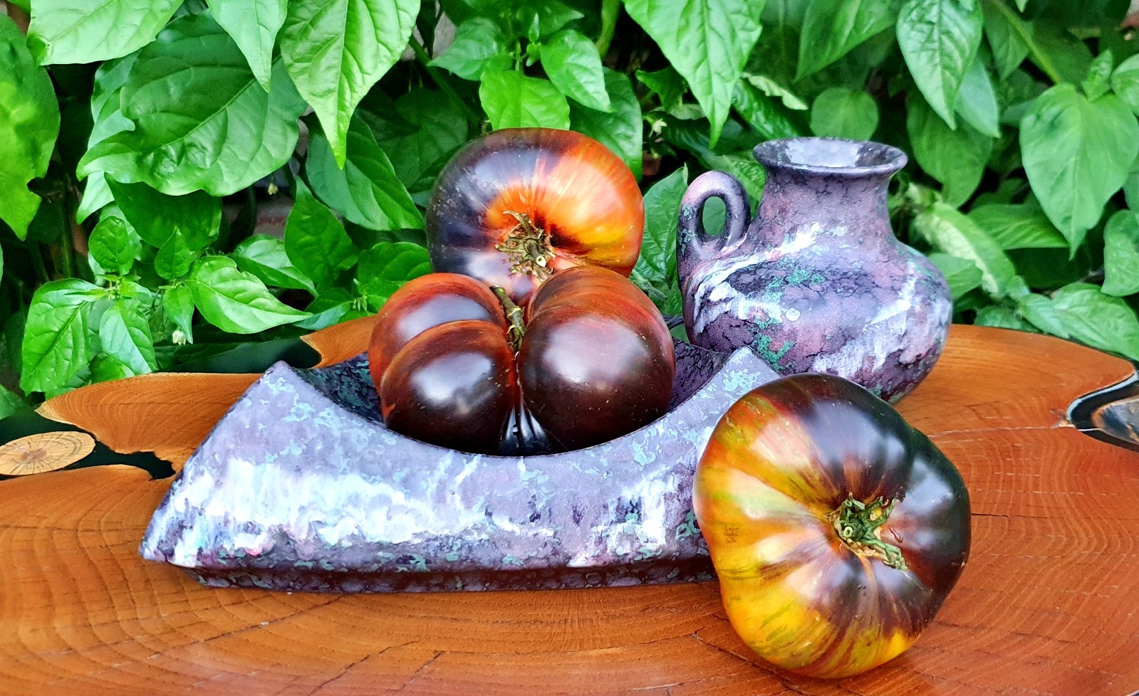 10 seeds Rebel Starfighter Dippers Delight DWARF Tomato Rare ORGANIC Variety