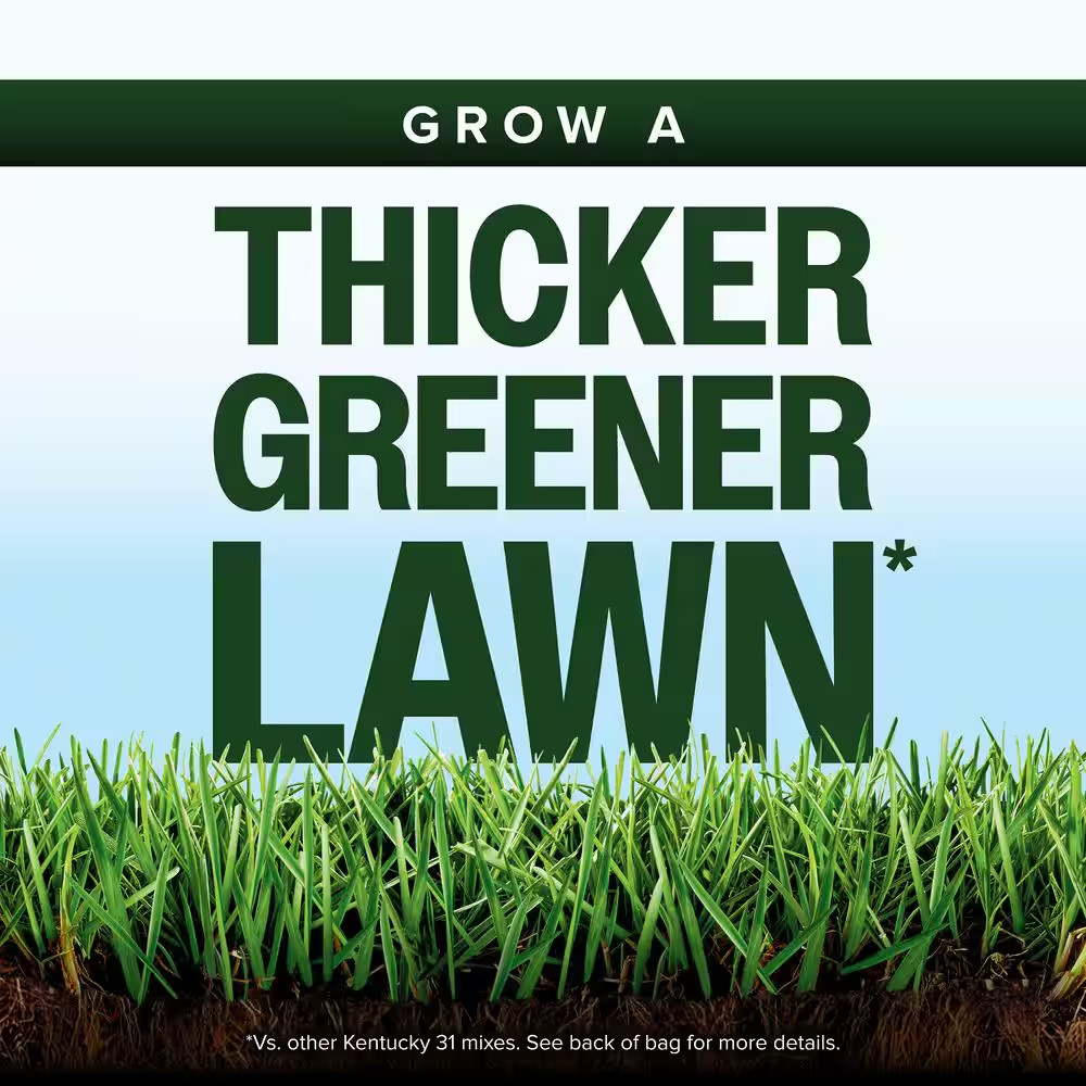 Kentucky 31 Grass Seed Mix 40 Lbs. for New Lawns or Overseeding