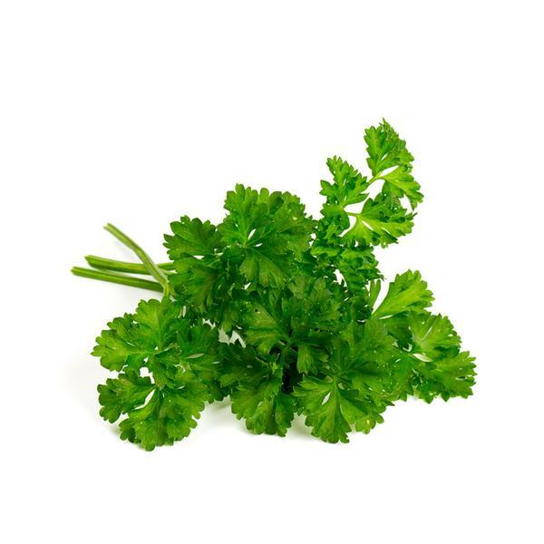 Parsley Moss Curled Seeds 1000+ Herb Culinary Cooking Heirloom USA FREE SHIPPING