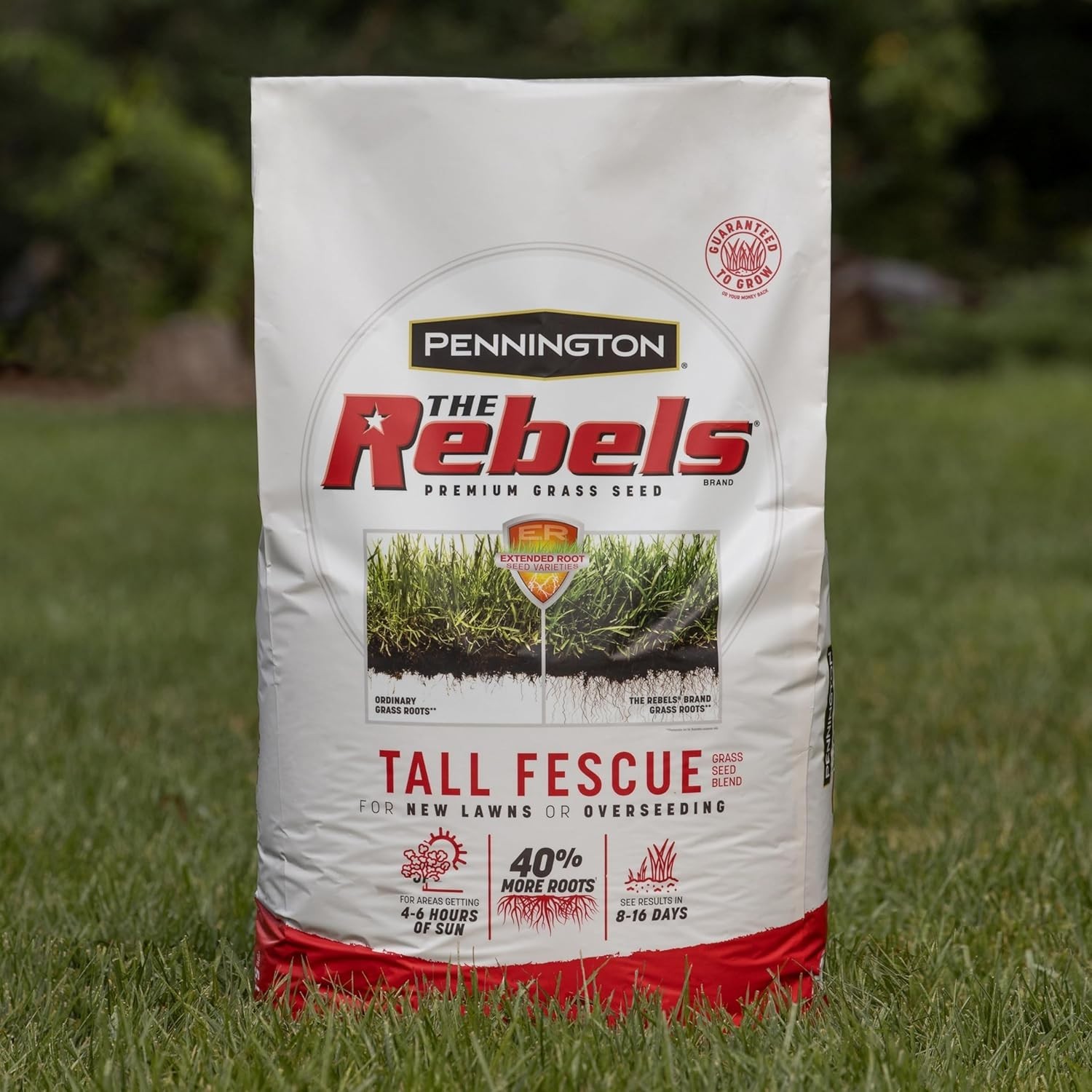 Rebels Tall Fescue Seed Mix, 10,000 sq ft Coverage