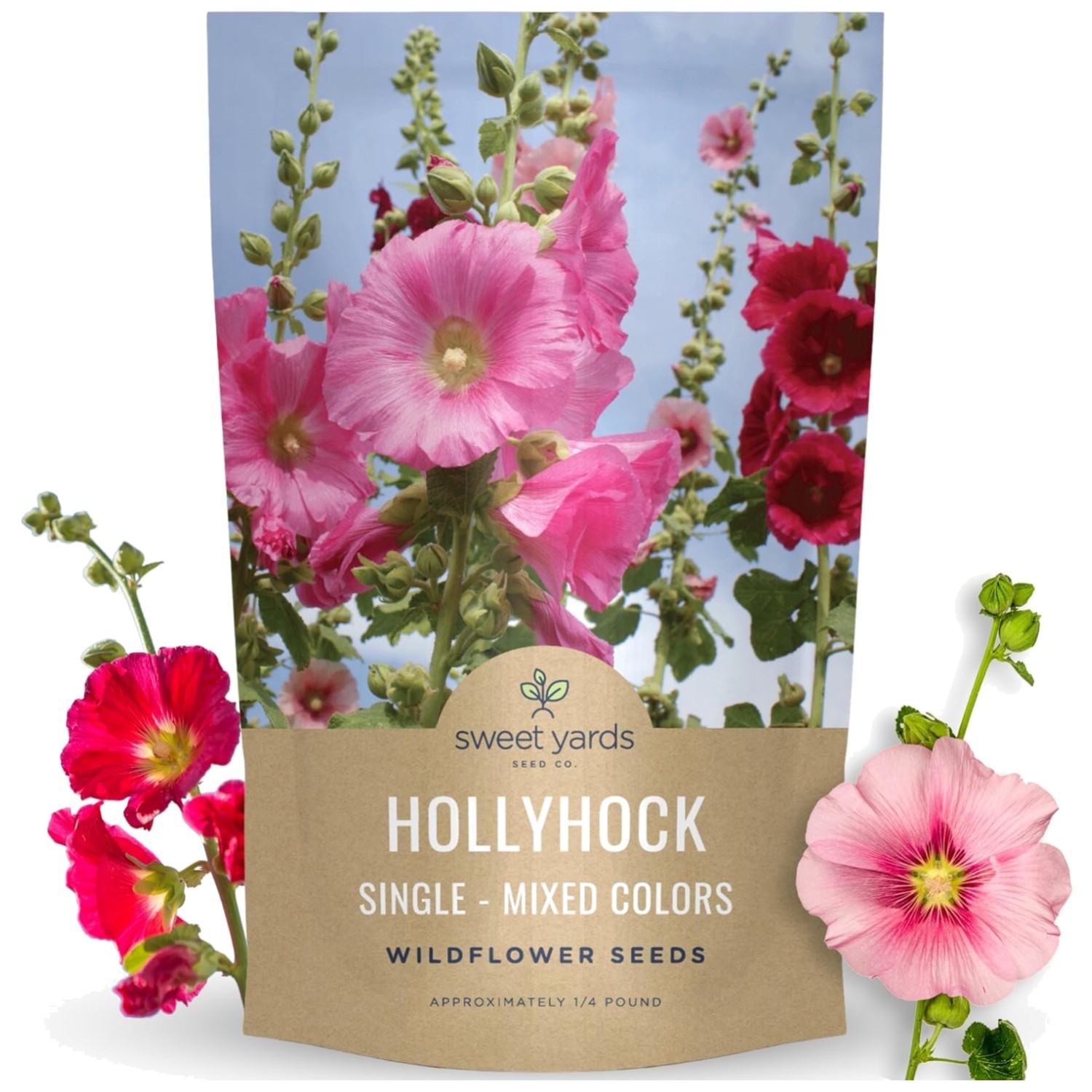 Hollyhock Single Mixed Colors Seeds – 1/4 lb Pouch