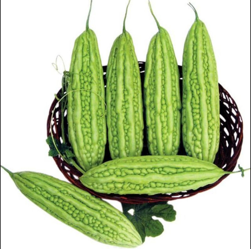 2 Gr (10 Seeds) F1 Rado 316 Bitter Melon Seeds for Planting, Bitter Gourd Seeds