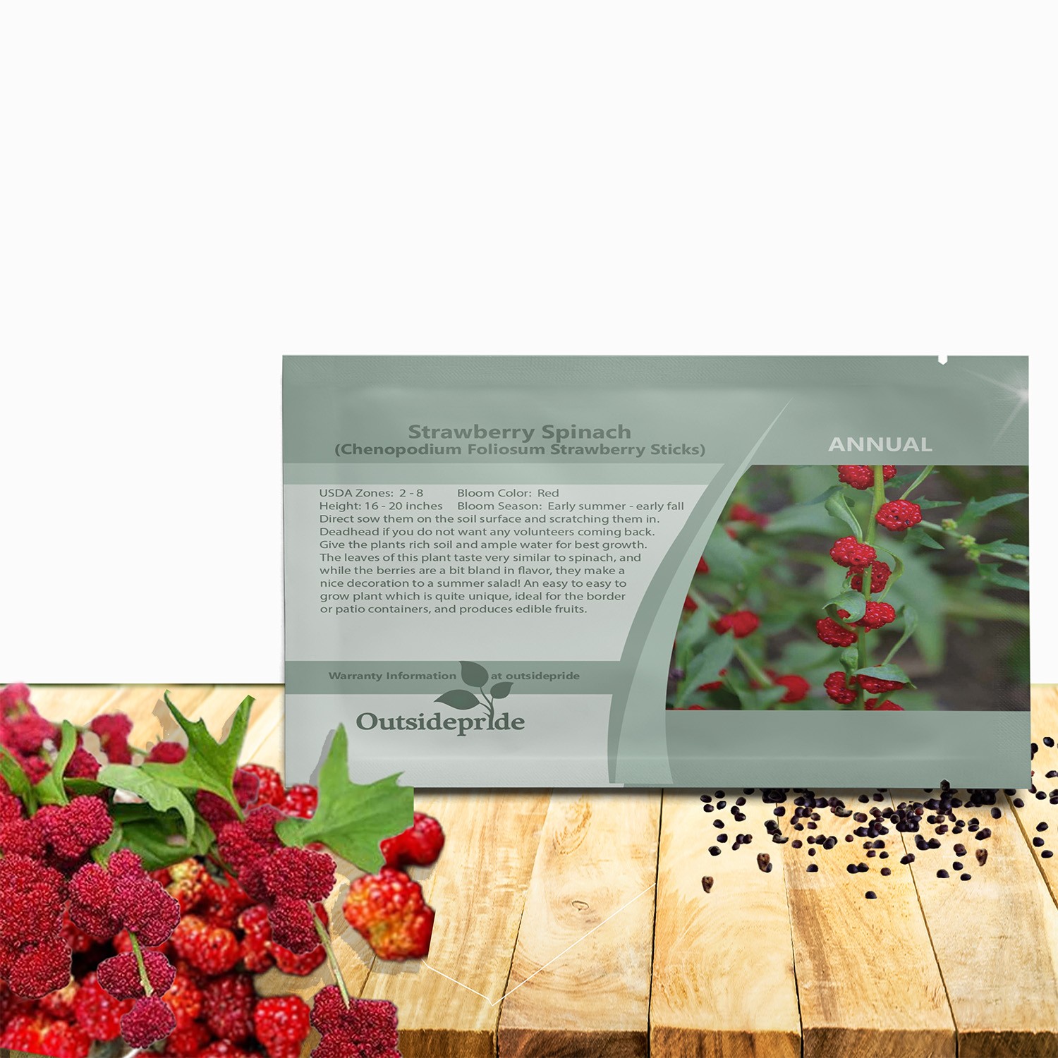 5000 Seeds Chenopodium Foliosum Strawberry Sticks Flower Seeds