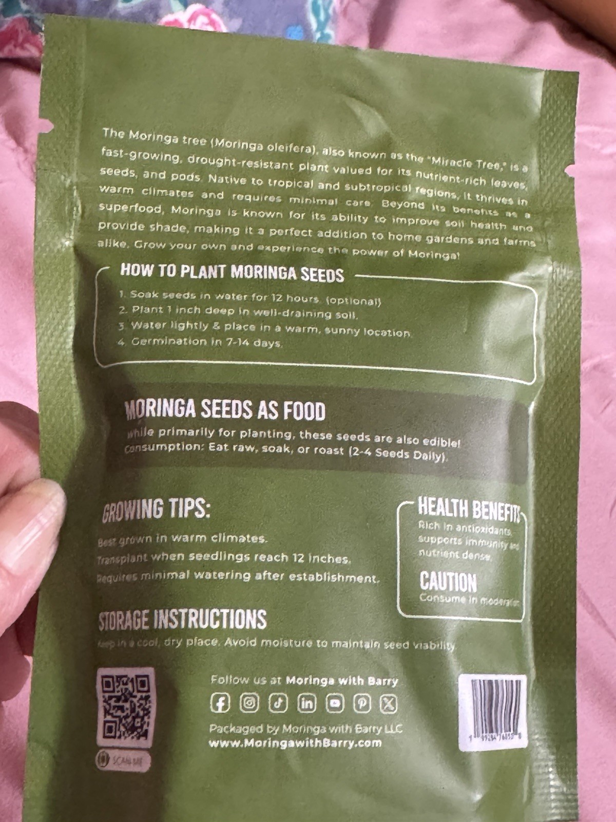 Moringa Seeds 100 Count Moringa Tree Seeds High Germination Rates