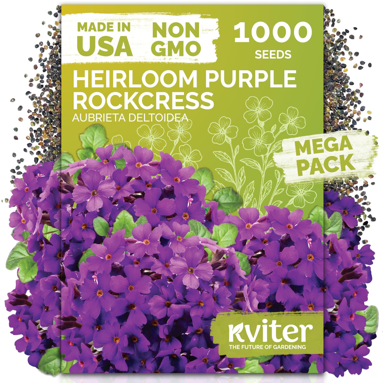 1,000 Purple Rock Cress Seeds Perennial (Aubrieta deltoidea) – Aubrieta , Lil…