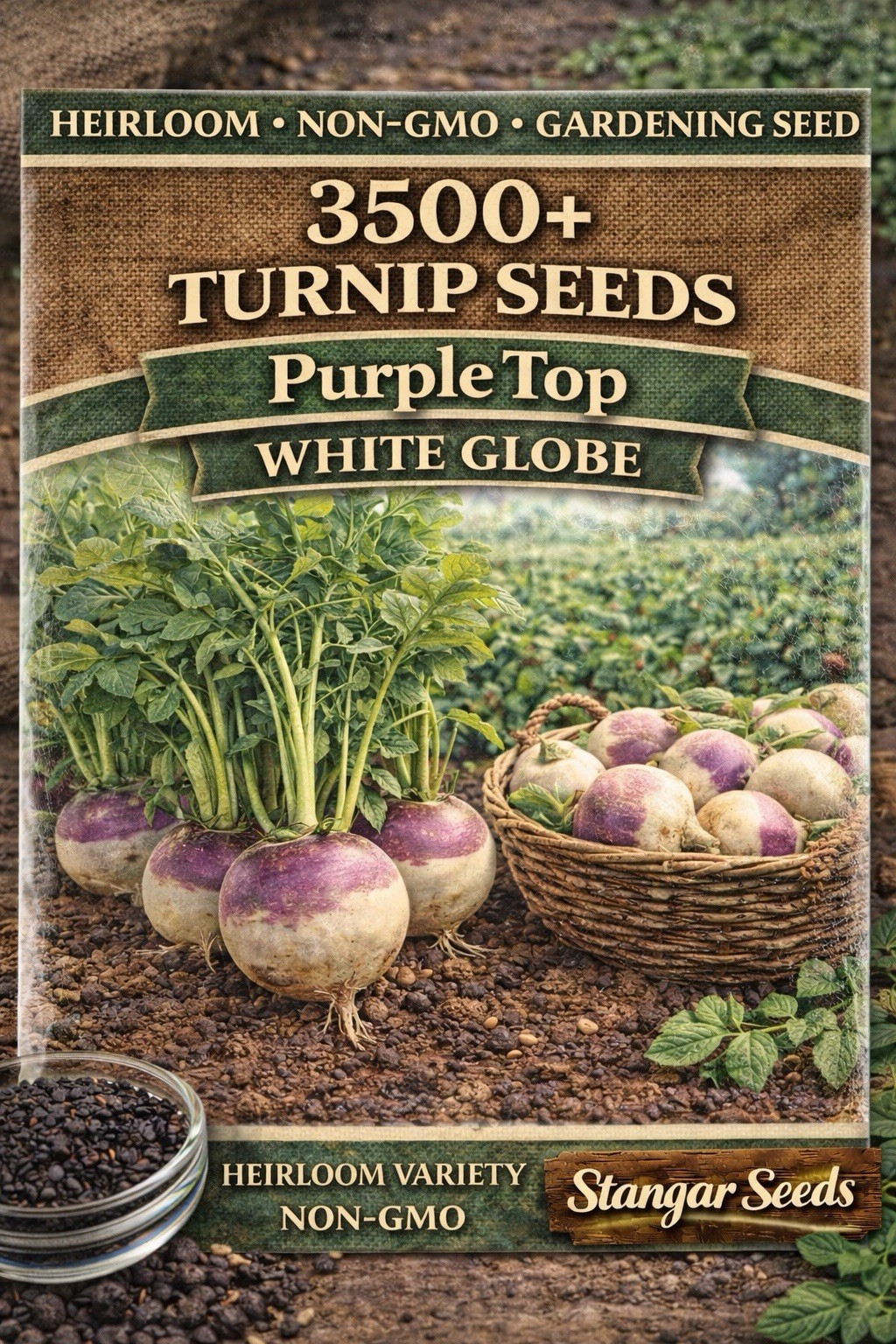 Purple Top White Globe Turnip Seeds, 1 LB, NON-GMO, FREE SHIPPING