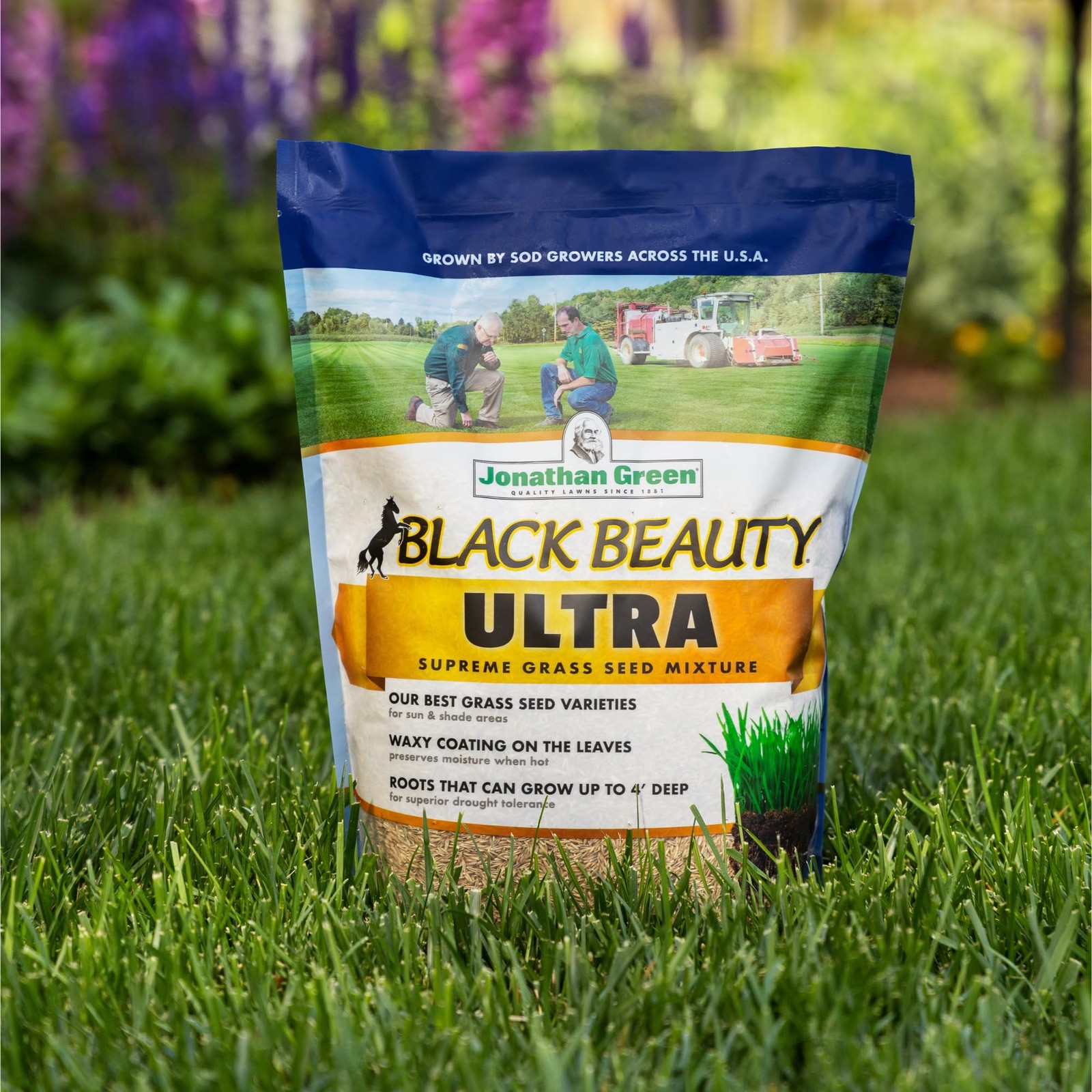 Jonathan Green (10322) Black Beauty Ultra Grass Seed Cool Season Lawn Seed (7