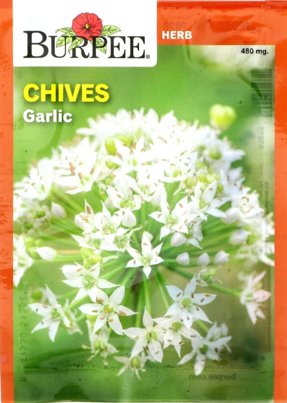 Burpee Organic Garlic Chives Herb Seed, 1-Pack 480 mg. Full Sun Tangy Zesty
