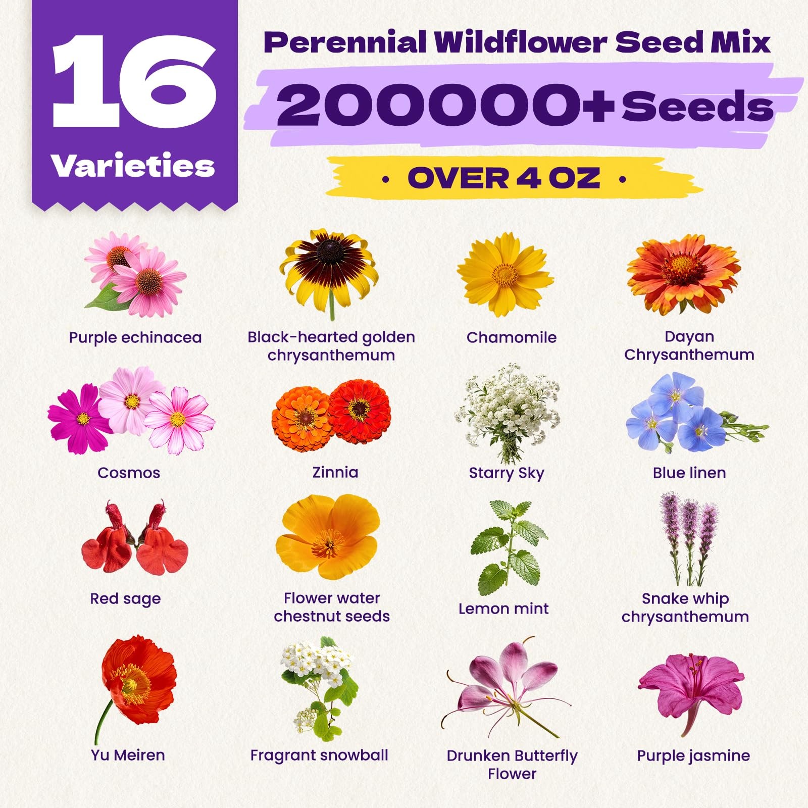 200,000+ Wildflower Seeds Bulk (4oz) – 16 Varieties Perennial & Annual Mix, A…