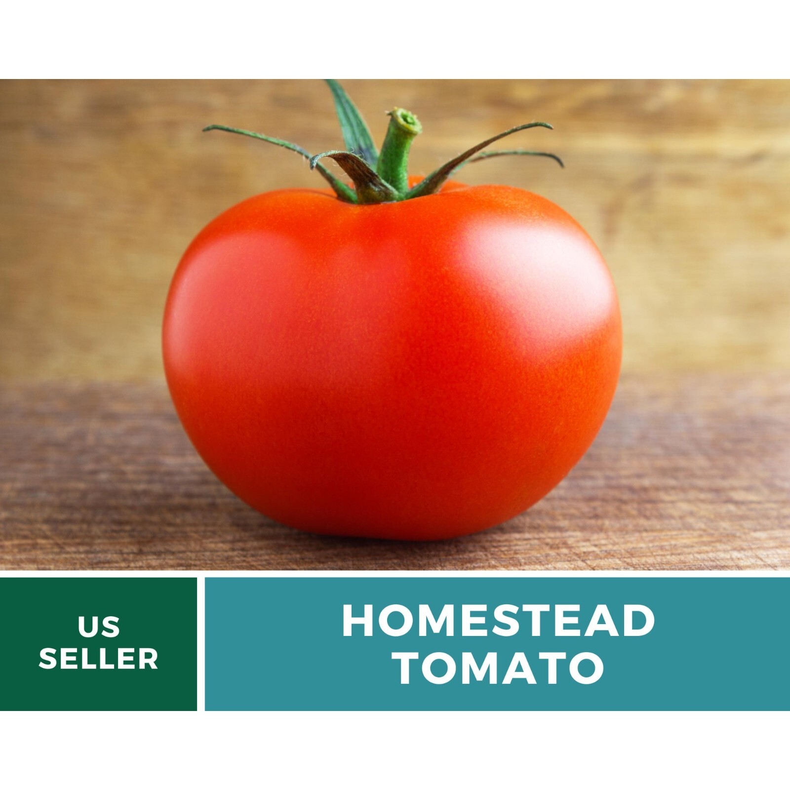 Tomato, Homestead seeds – Heirloom Vegetable (Solanum lycopersicum) – Determinat