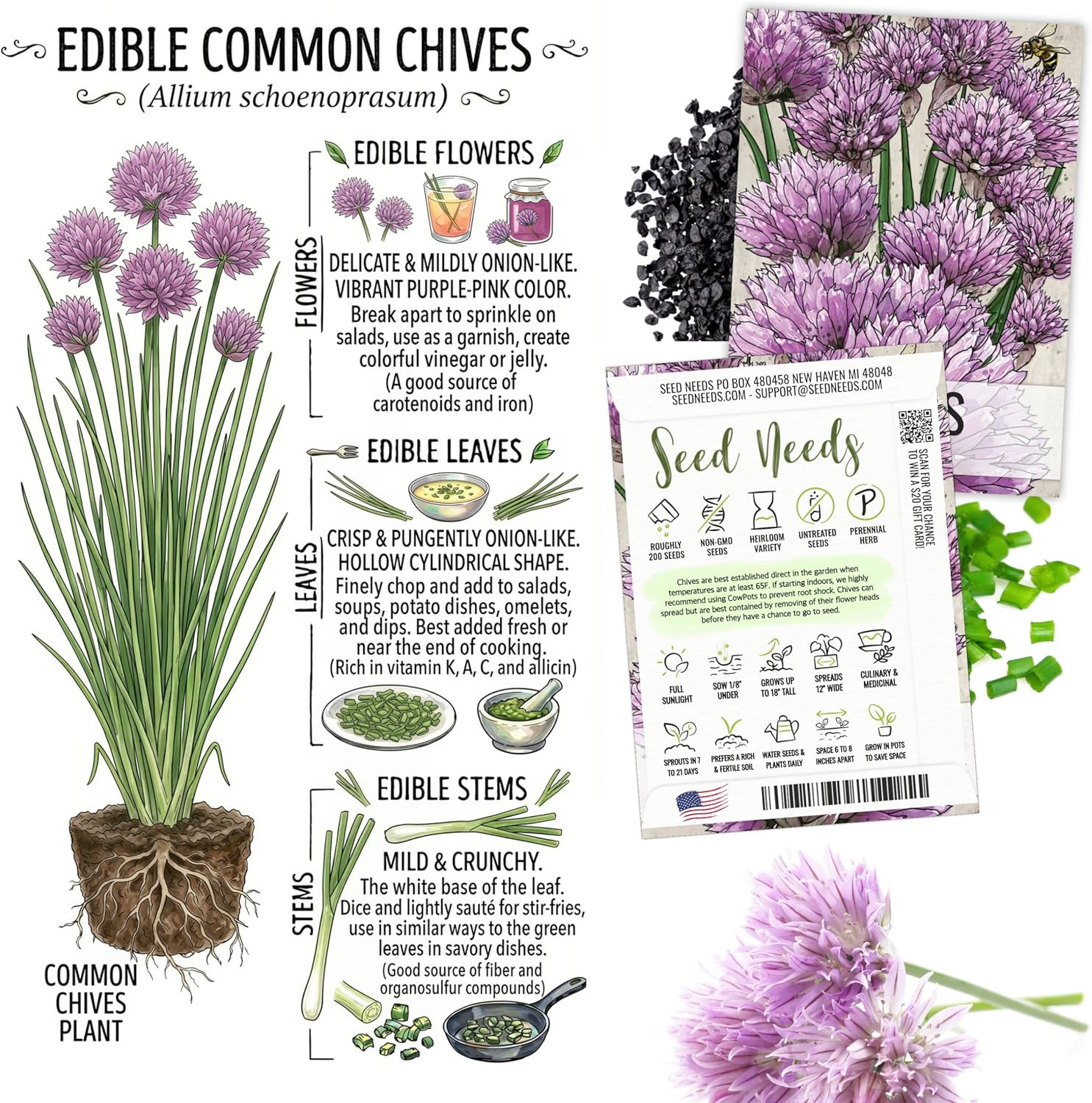 Edible Flower Seeds Variety Pack of 7 Wildflowers for Garnishing