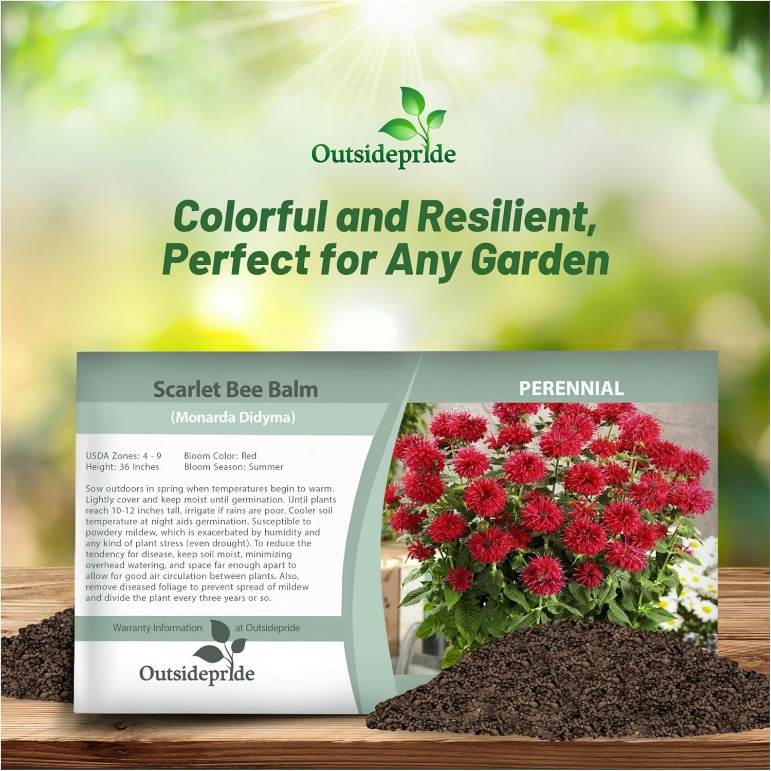 250 Seeds Red Monarda Flower Seeds For Planting | Scarlet Bee Balm Seed