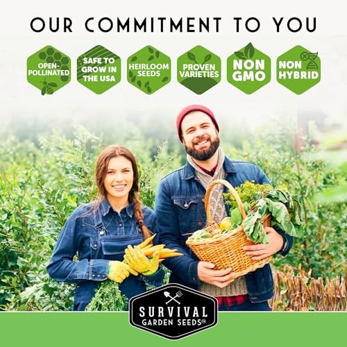 Blue Lake74 Bush Bean Seeds for Planting – Heirloom Non-GMO Green Beans – 2