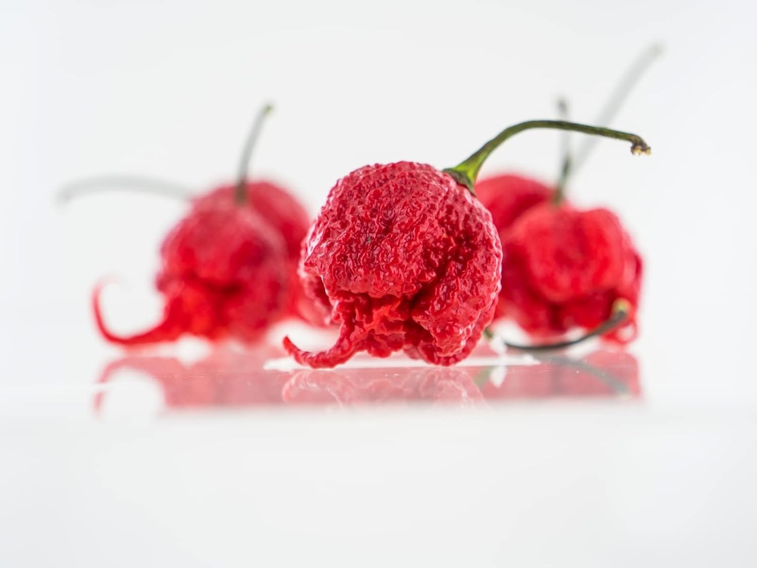 Hand-Harvested Carolina Reaper Seeds – 10+ Pack for Hot Pepper Lovers