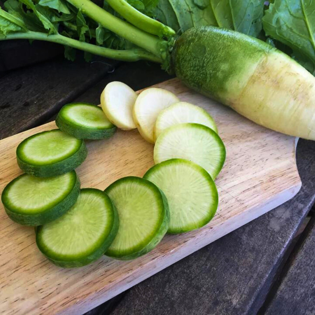 Green Meat Chinese Radish Seeds | Luobo | Heirloom Non-GMO | Asian Vegetables