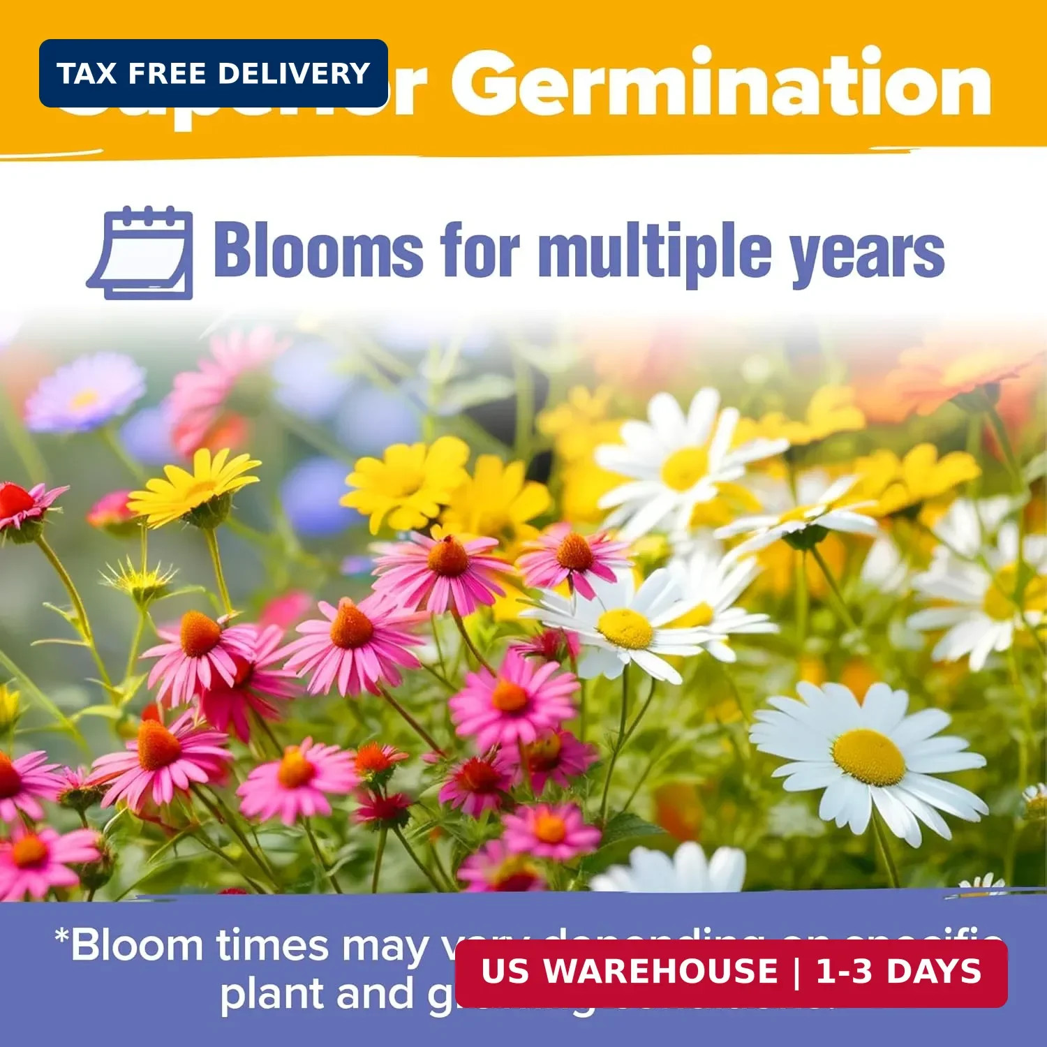 HOME GROWN USA Wildflower Seeds Bulk Mix | 44,000 Non-GMO Perennial Flower Seed