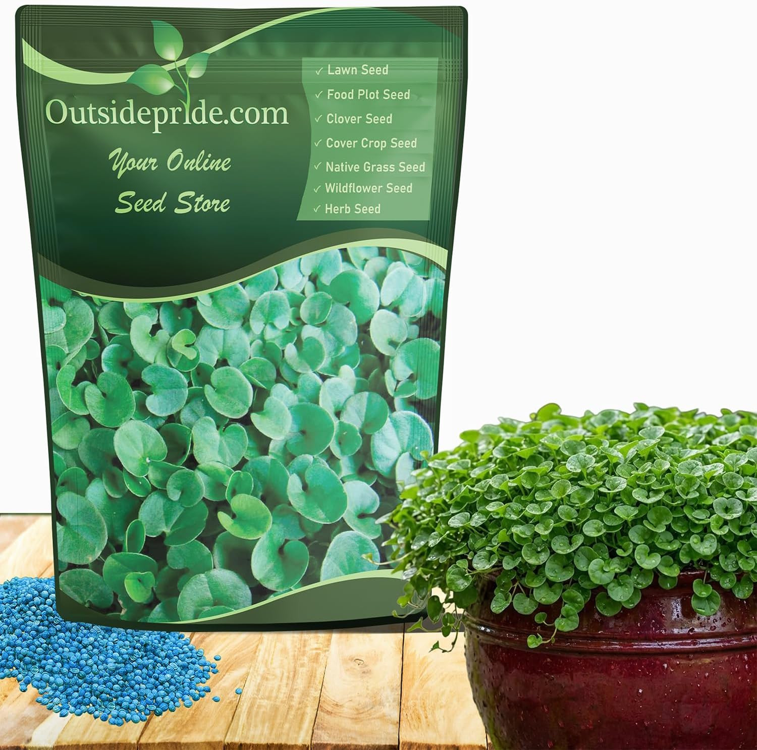 Perennial Dichondra Repens Seeds – 2 Lbs Dense Green, Low-Maintenance Ground Cov