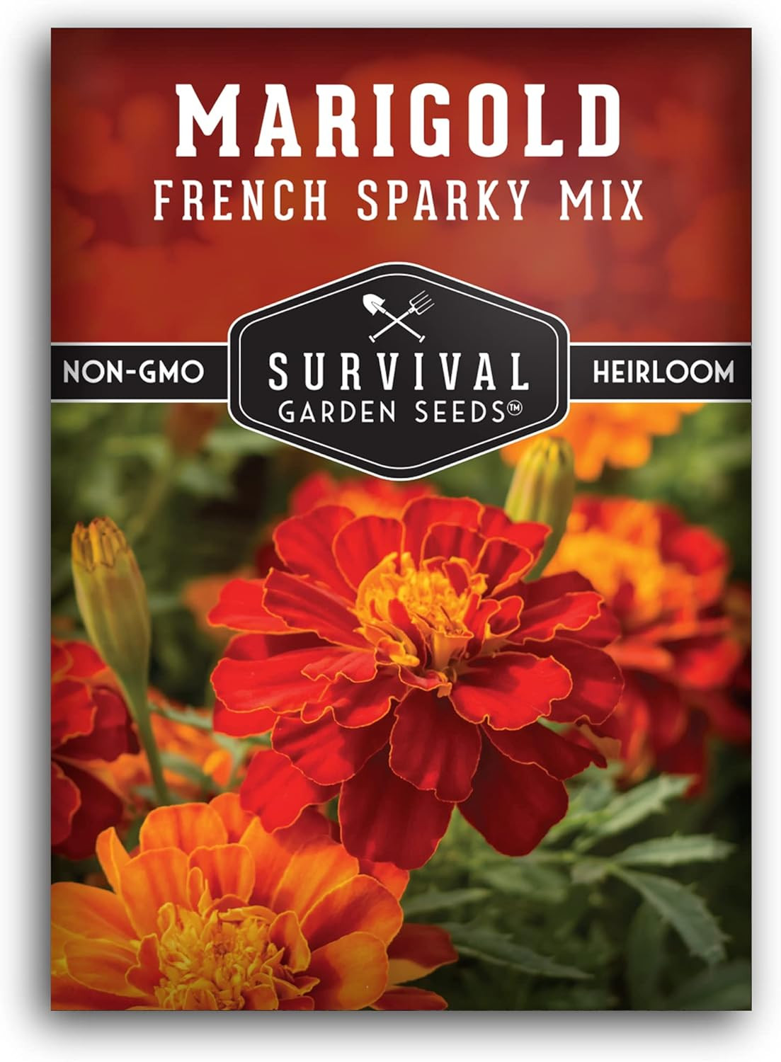 French Sparky Marigold Seeds for Planting – Plant & Grow Red & Orange Patula Flo
