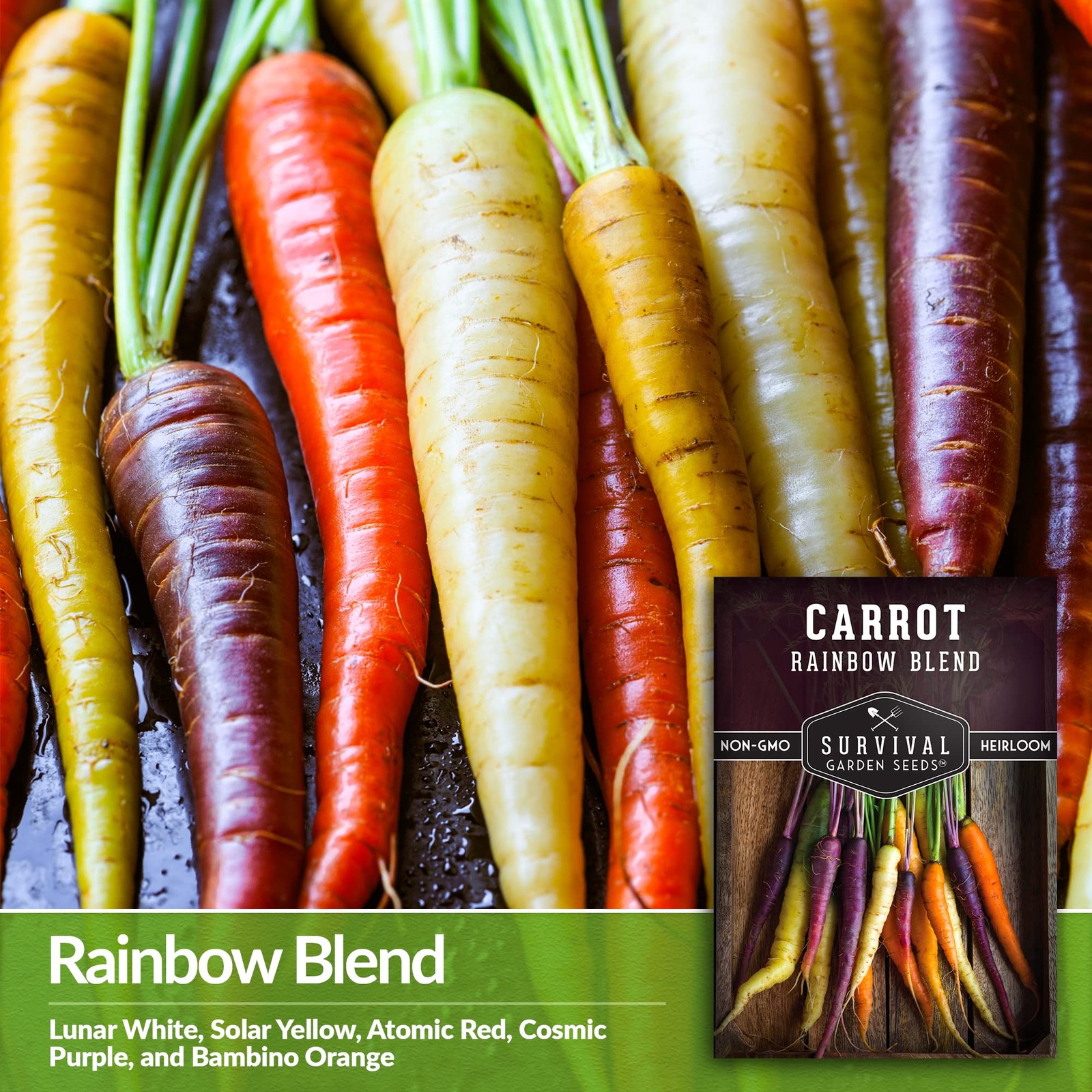 Rainbow Carrot Seeds – Colorful Heirloom Blend for High-Yield Vegetable Gardens