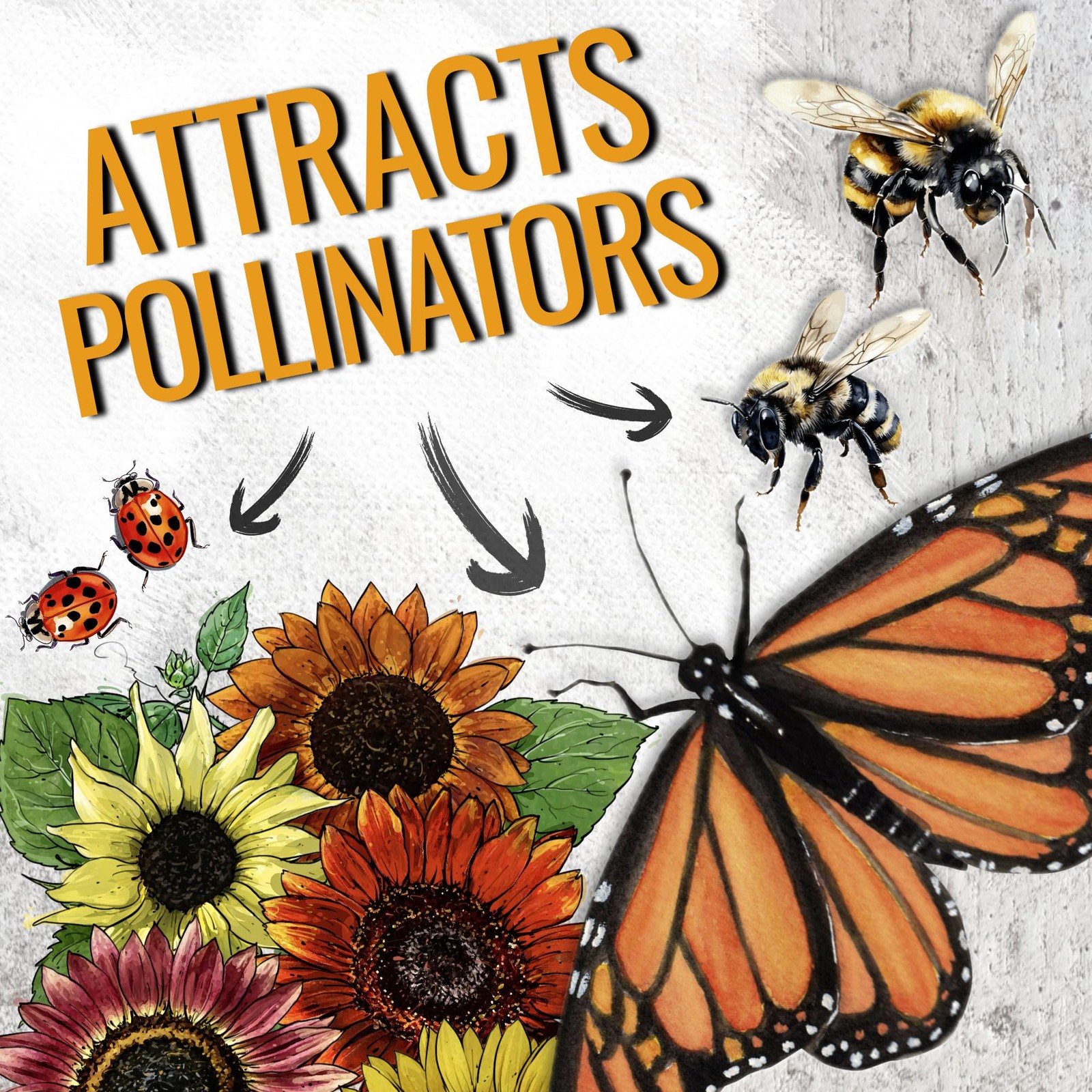 Sunflower Seeds Mix 7 Varieties of Helianthus Annuus for Vibrant Gardens