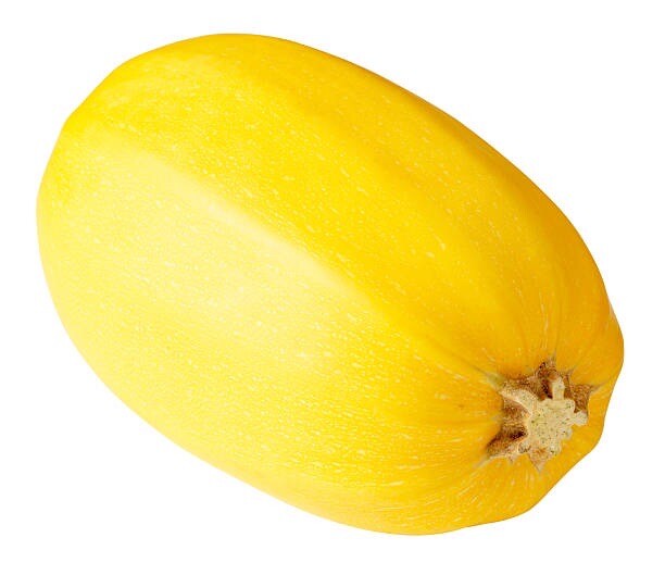Spaghetti Squash, 25 Seeds. Heirloom~Non-Gmo~Organic. USA~Free Shipping.