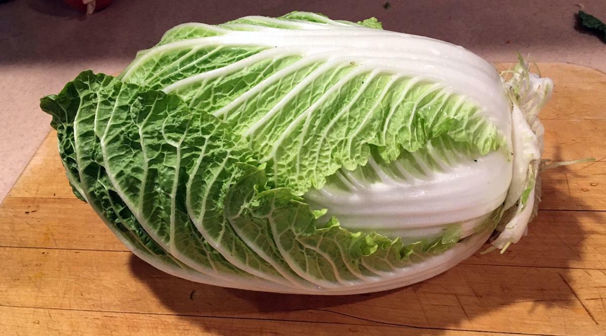 500 CABBAGE CHINESE MICHILI SEEDS HERBS FRESH US SELLER GARDEN