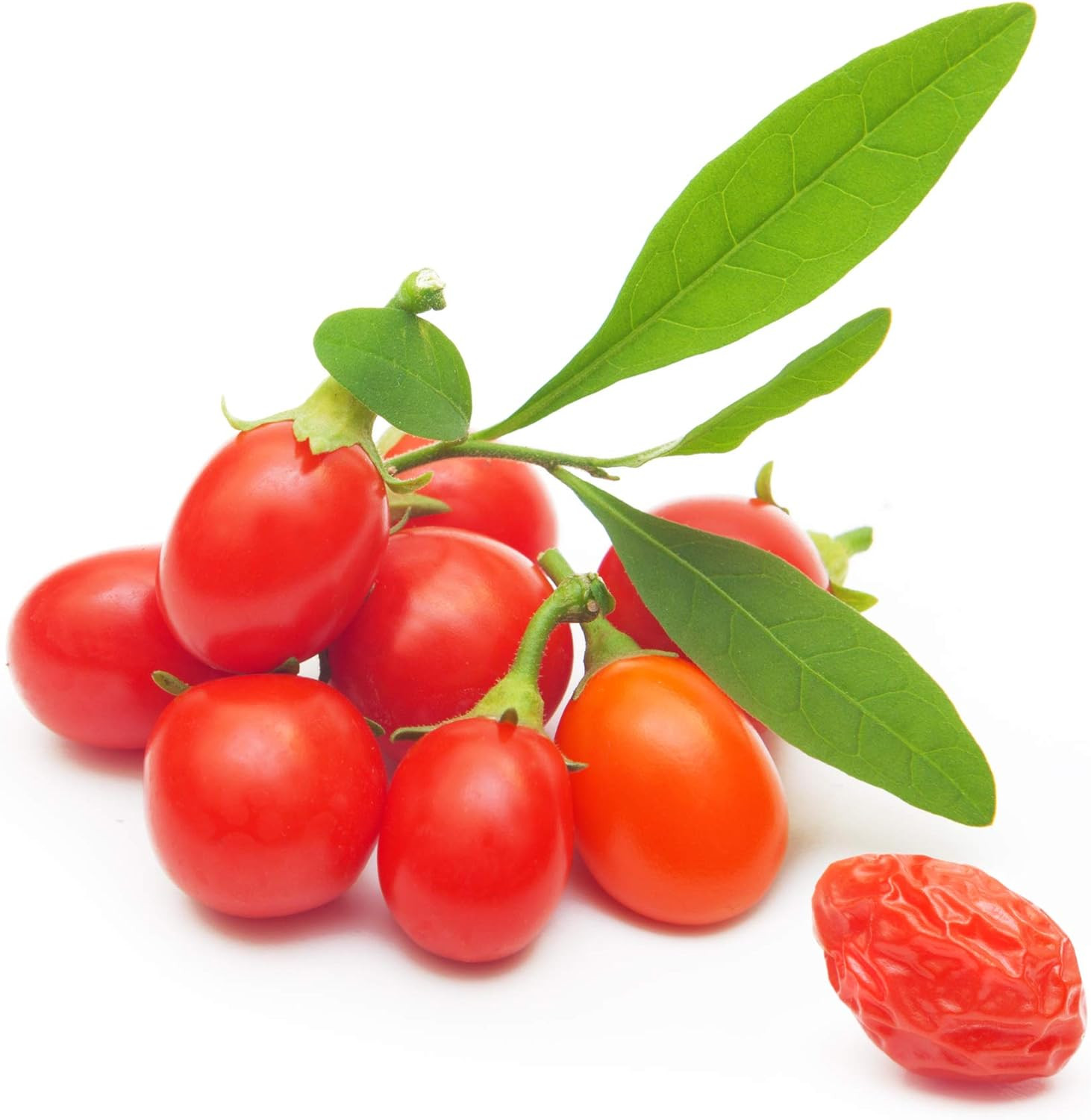 Tibetan Goji Berry 100 Seeds (Lycium Chinense) Heirloom – Non GMO – Open Pollina