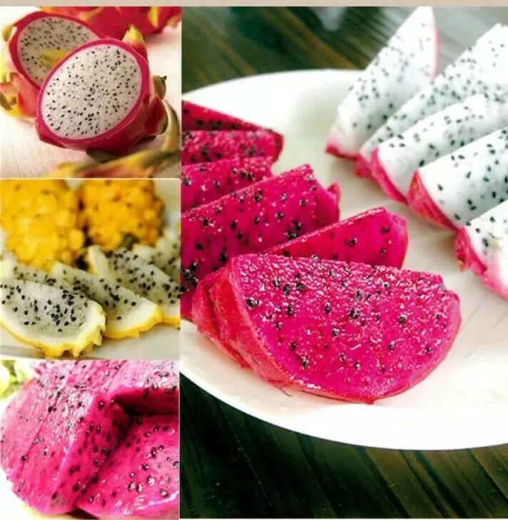 USA SELLER Dragon Fruit Mix (Red,purple, Yellow,White) 50 seeds HEIRLOOM