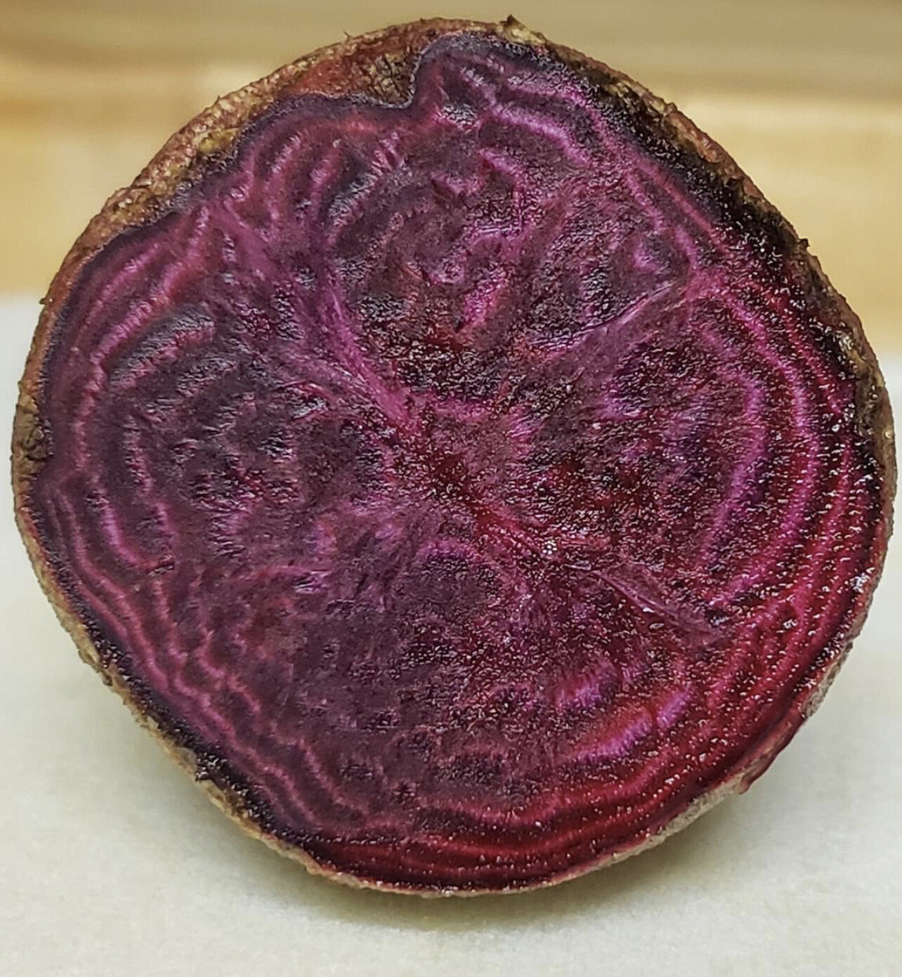Bull’s Blood Beet Seeds | Heirloom | Organic