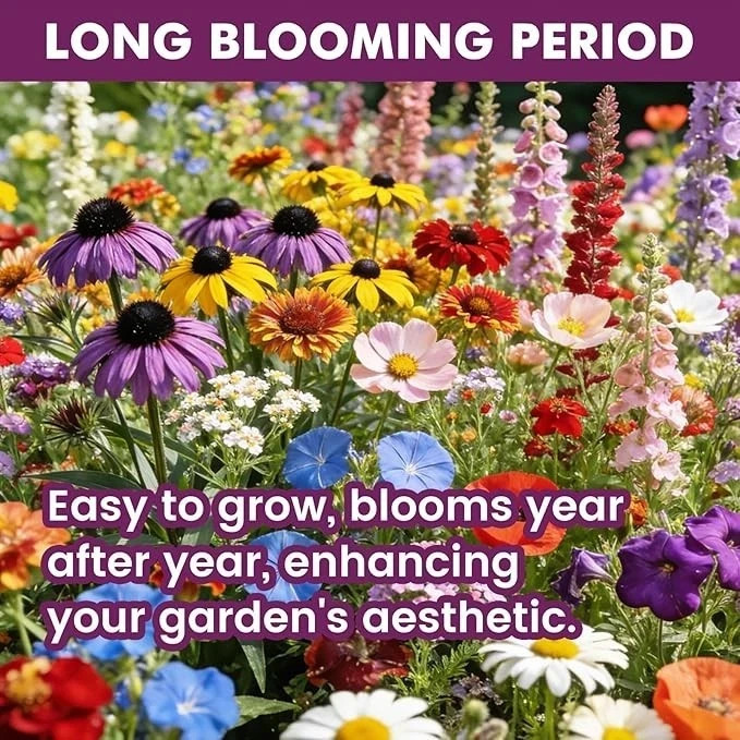 Wildflower Seeds Bulk 10000+, 1.06oz 21 Variety Perennial Mix, Multicolor