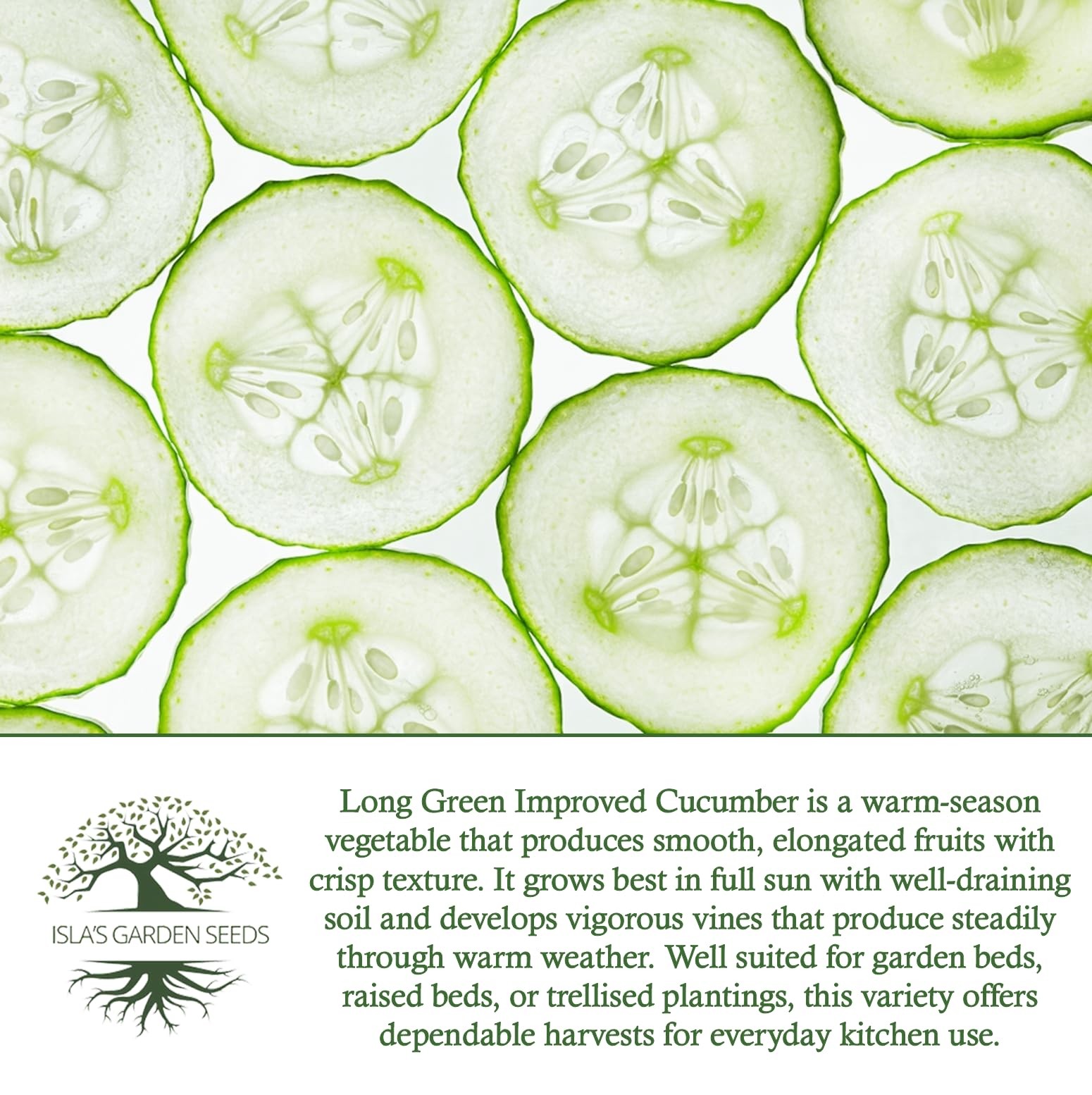 Long Green Improved Cucumber Seeds (Cucumis sativus) – 100+ Heirloom Non GMO …