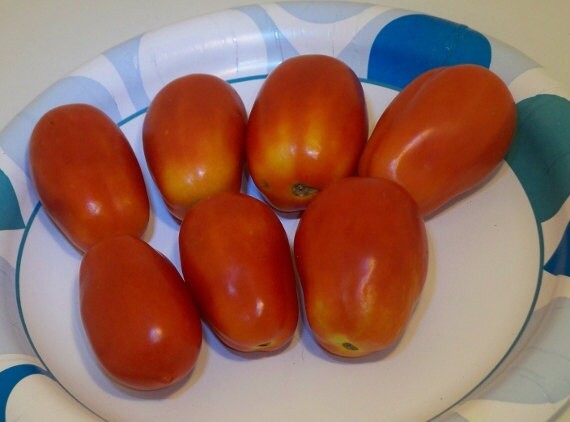 Mountain Roma Paste, Tomato