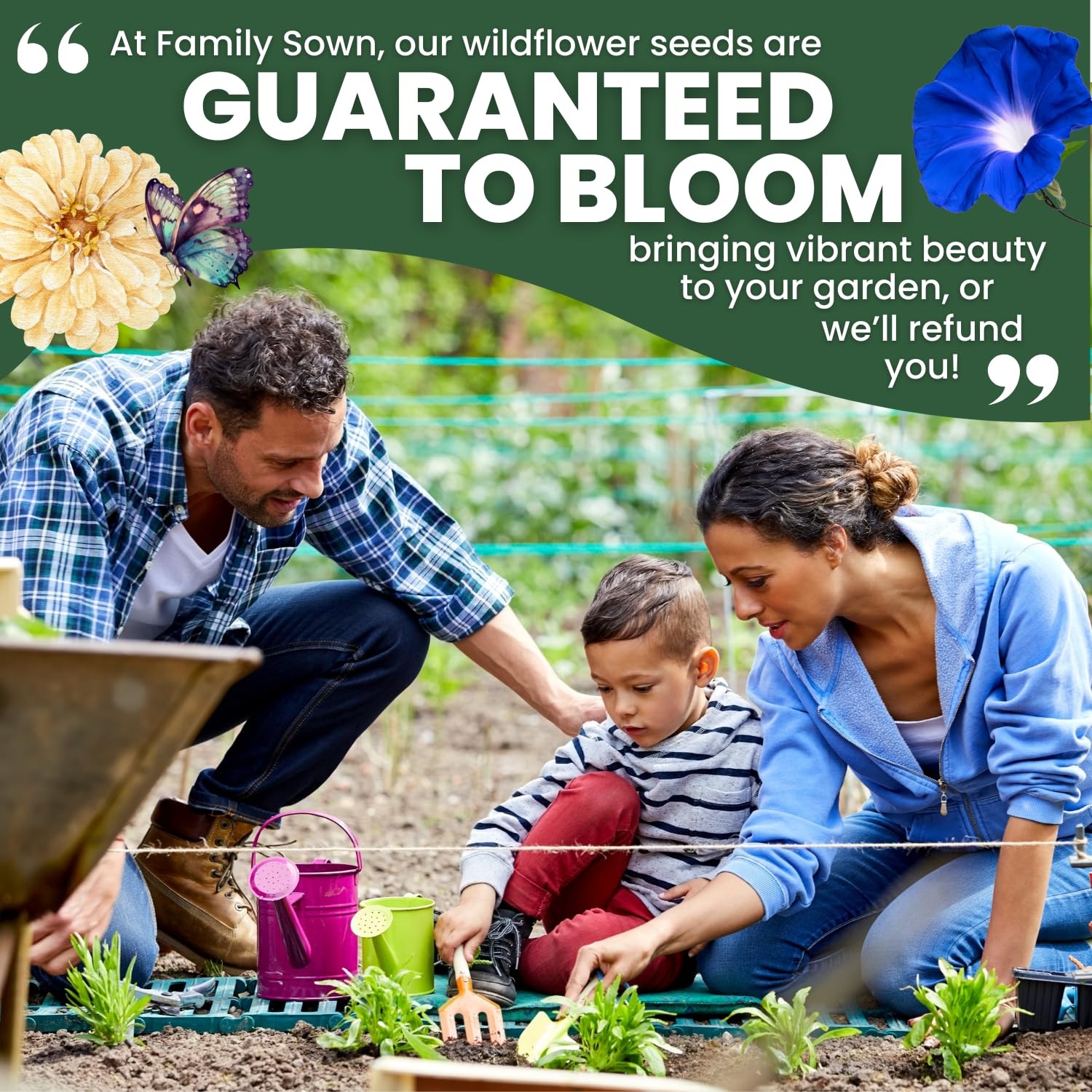 Heavenly Blue Morning Glory Seeds 3,000 Count for Planting, 4 Ounce Pouch