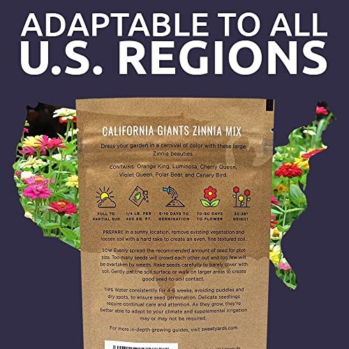 Bulk Zinnia Seeds – California Giants Mix – 1/4 lb Bag, 12,000+ Colorful Flower
