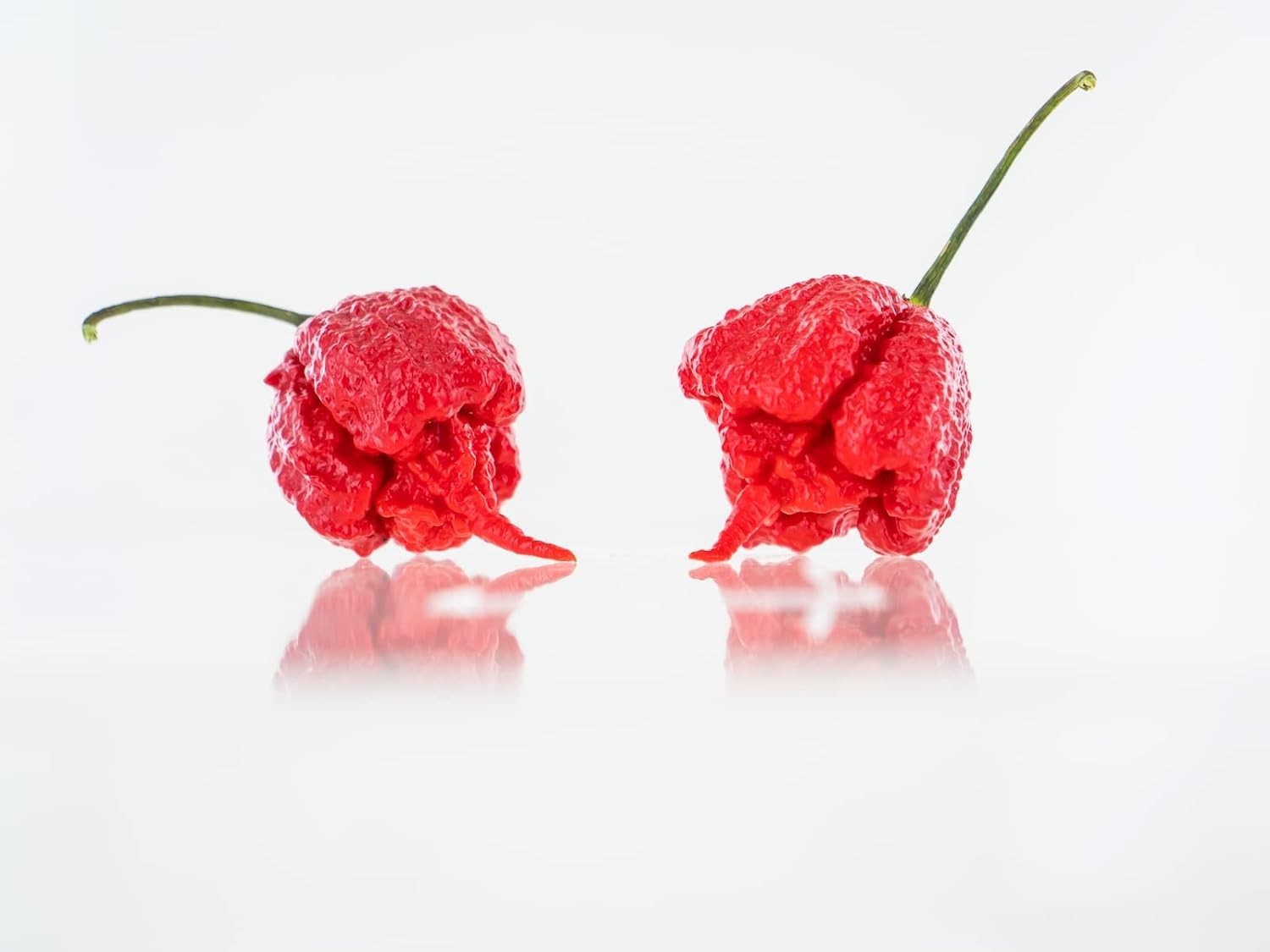 Hand-Harvested Carolina Reaper Seeds – 10+ Pack for Hot Pepper Lovers