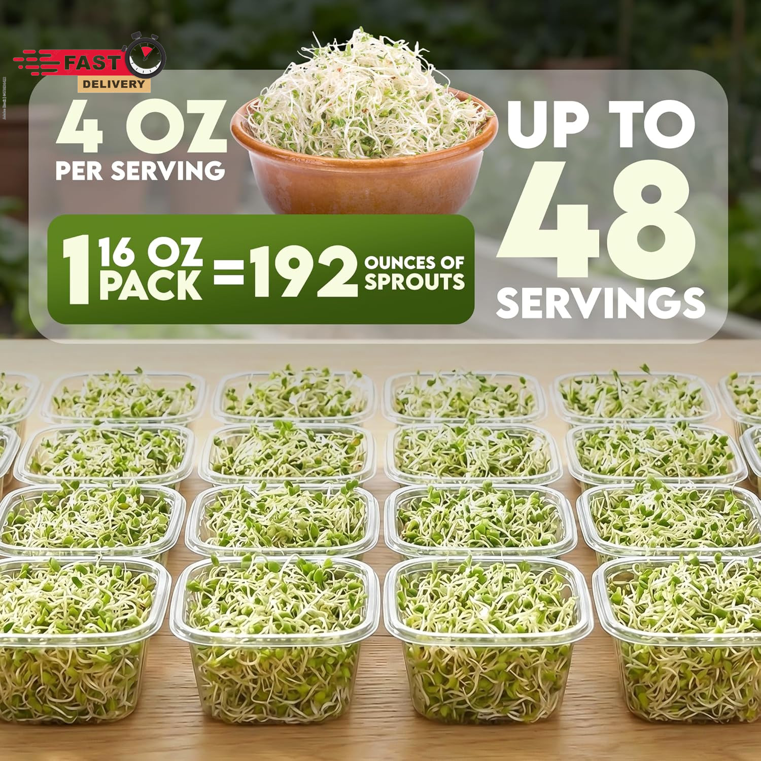 Nature Jims Sprouts Alfalfa Seeds – Non-Gmo Organic Sprout for Growing & Plantin