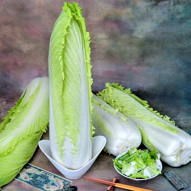 🌱Heirloom Granaat Semi-heading Chinese Cabbage 50+ Seeds