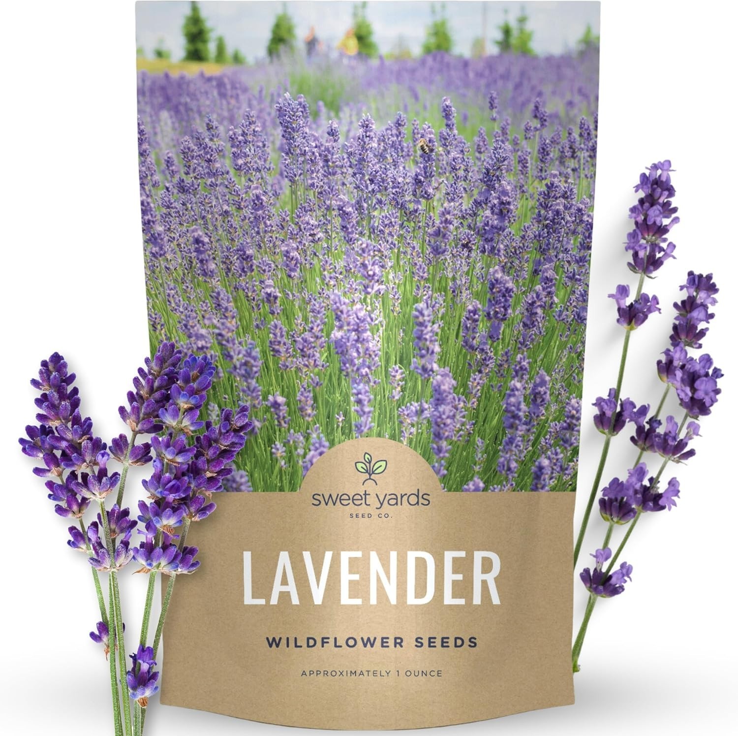 Lavender Seeds for Planting – 25,000 Count
