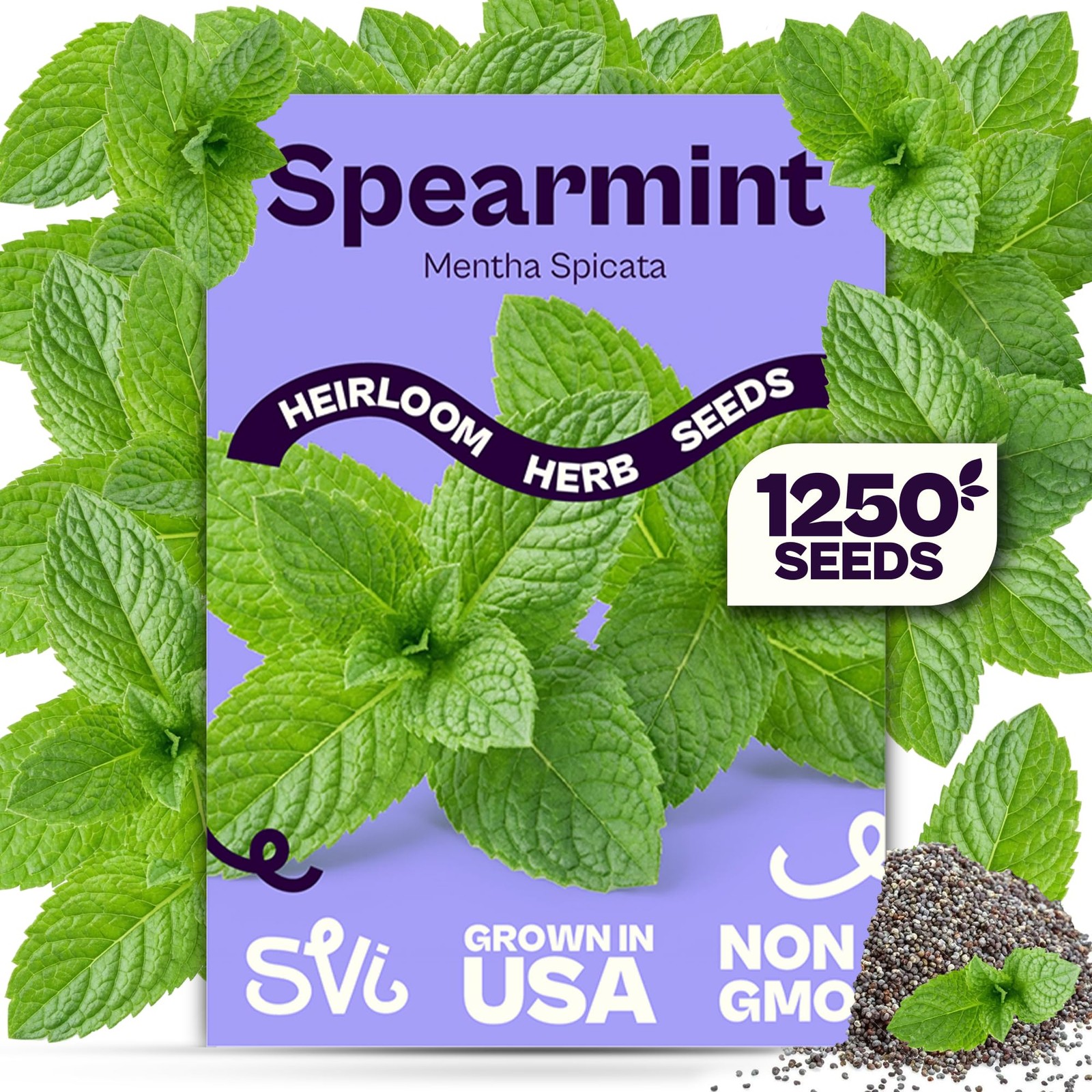 1250 Spearmint Seeds Mentha spicata – Mint Green Seed Packets, Aromatic Mint …